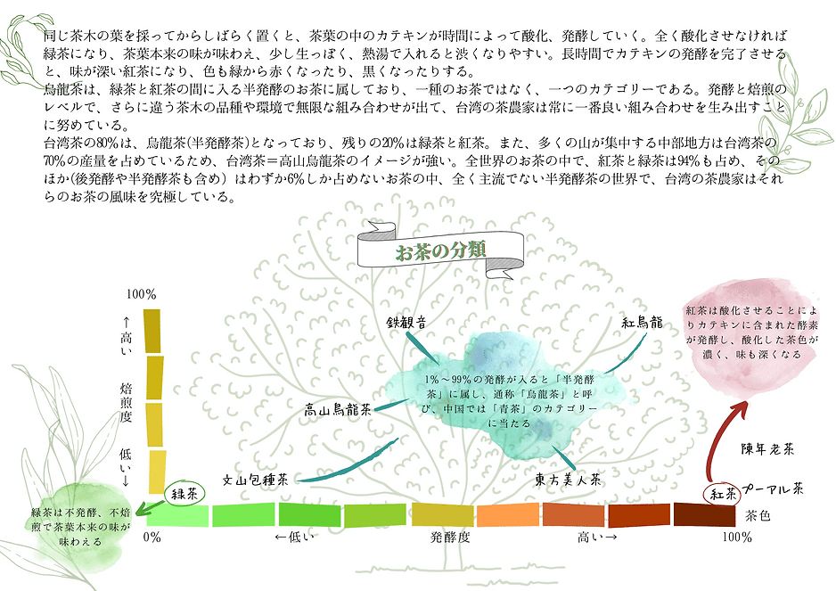 紅烏龍って、紅茶？烏龍茶？｜Lin Pinchun｜台湾出身の台湾茶研究家