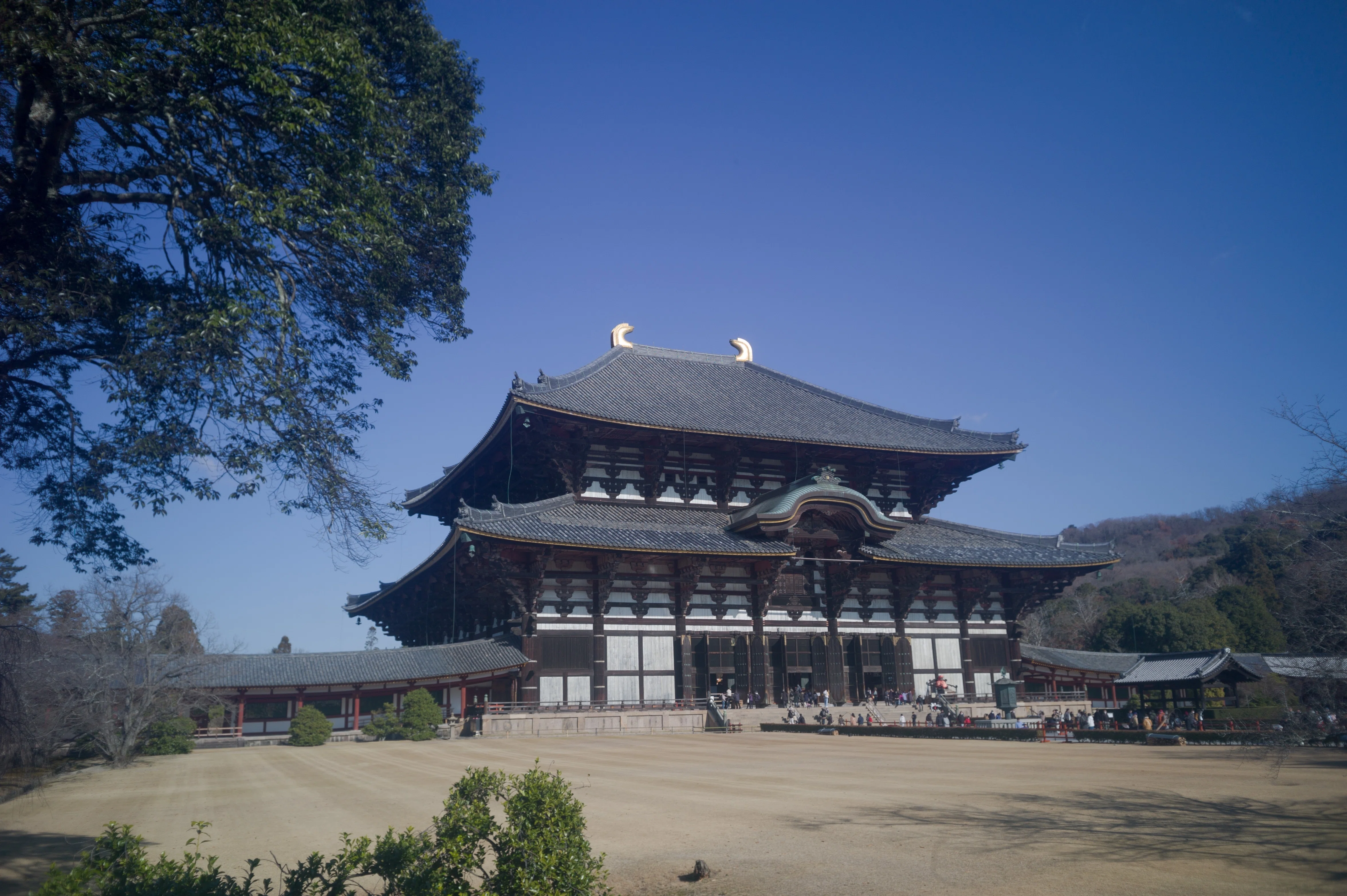 Carl Zeiss Jena Tessar2.8cmF8｜と ご り ん