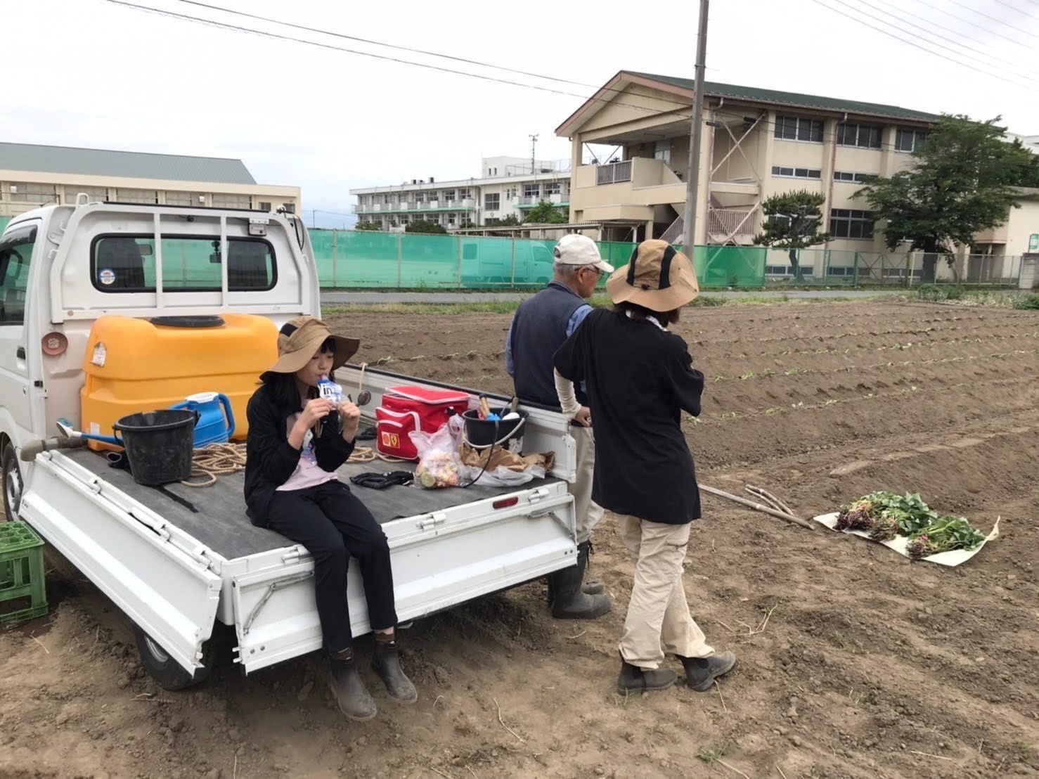 さつまいも植え付け500本ノック！｜KANKIKU 環境のきく子