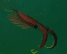 レポート】アノマロカリス――古生物のアイドル｜ゲームのいきもの研究所