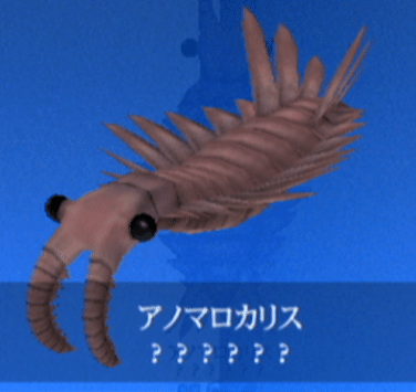 レポート】アノマロカリス――古生物のアイドル｜ゲームのいきもの研究所
