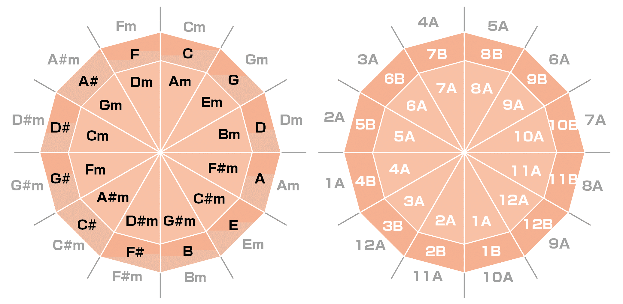 KEY mixを極める➀ やんわり音楽理論で最強Circle of Fifthを