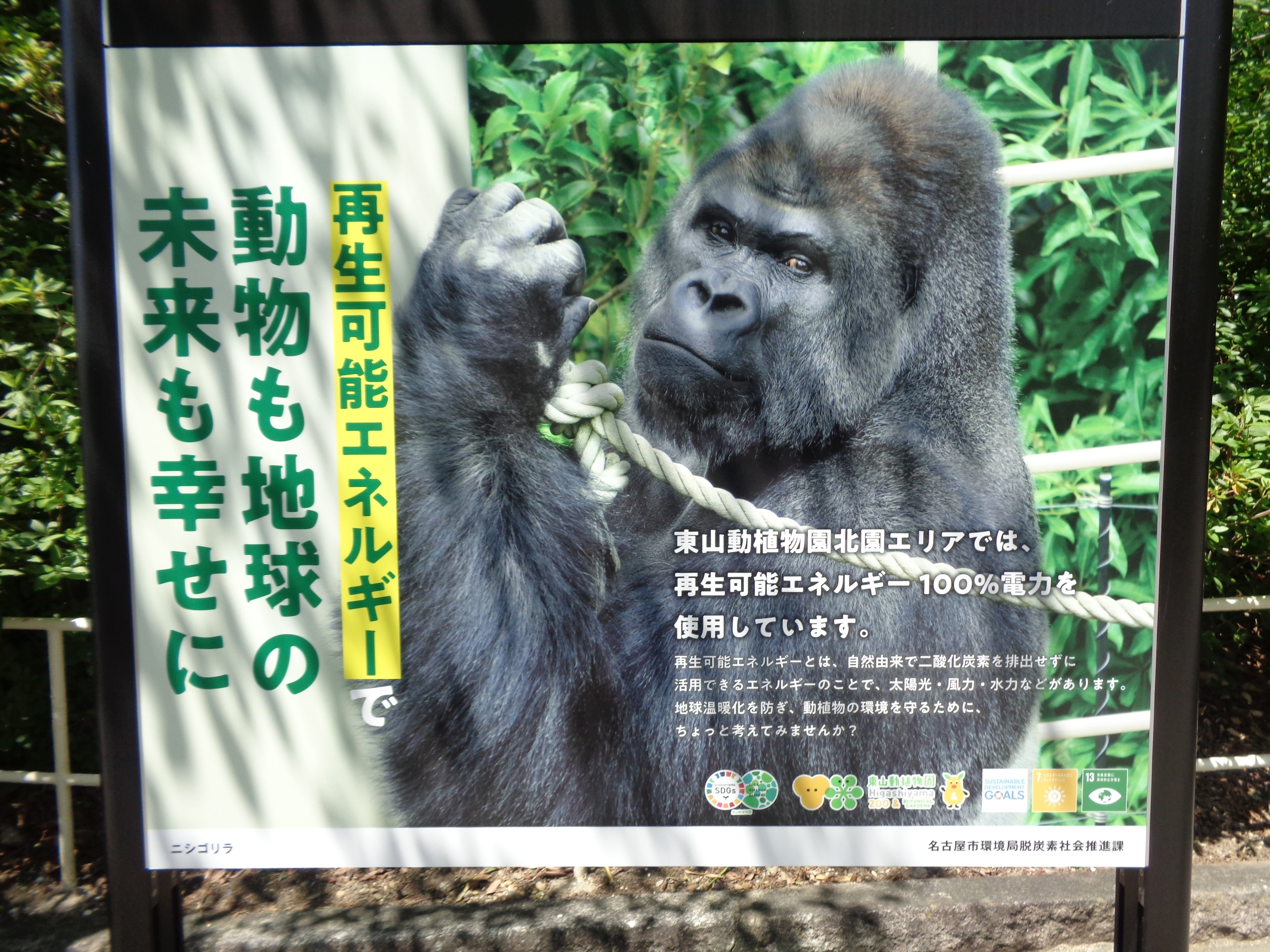 日本ゴリラ化計画】名古屋編①イケメンに会いに行く｜え＠レフト