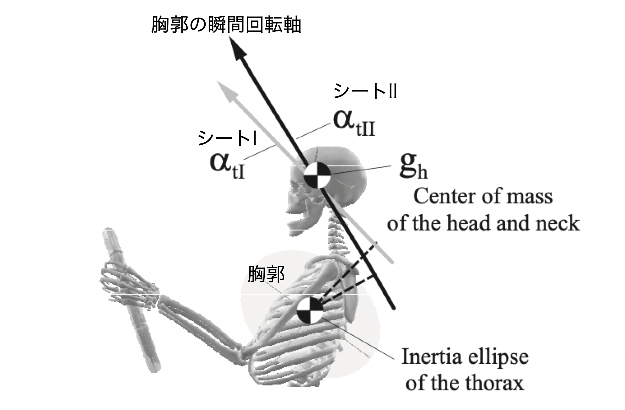Sports Biomechanics Geek #11 〜多関節運動の代表値 多体系