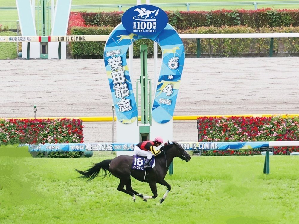 2024安田記念ポスター｜日本サイン競馬会