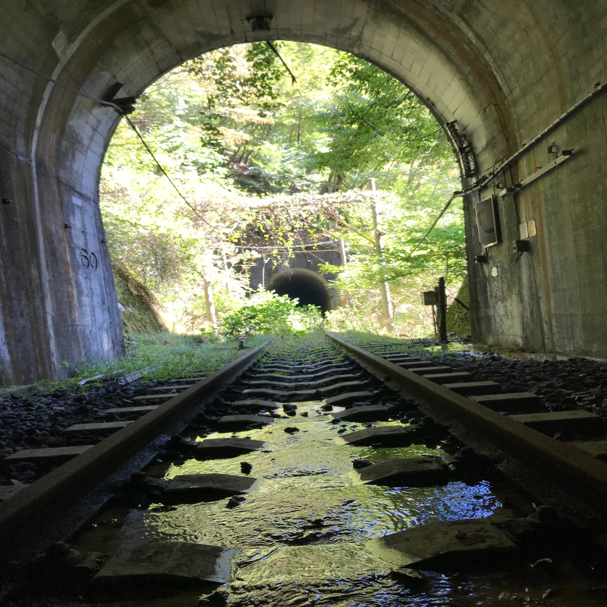 碓氷峠廃線ウォーク～鉄路と歴史と工学と…～｜Aer0