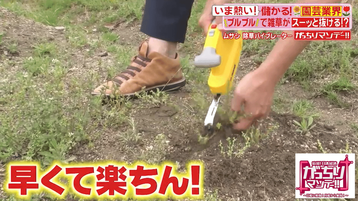 儲かる！園芸」①1日で1億円以上売り上げた「草が根こそぎ