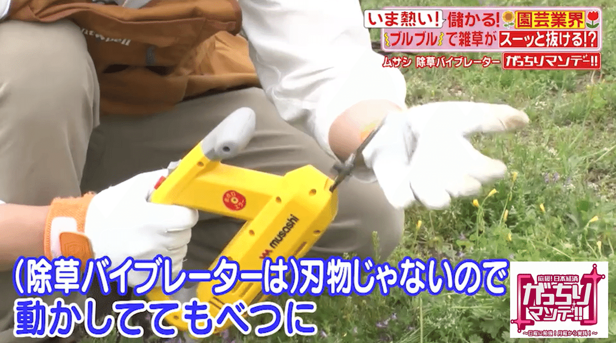 儲かる！園芸」①1日で1億円以上売り上げた「草が根こそぎ