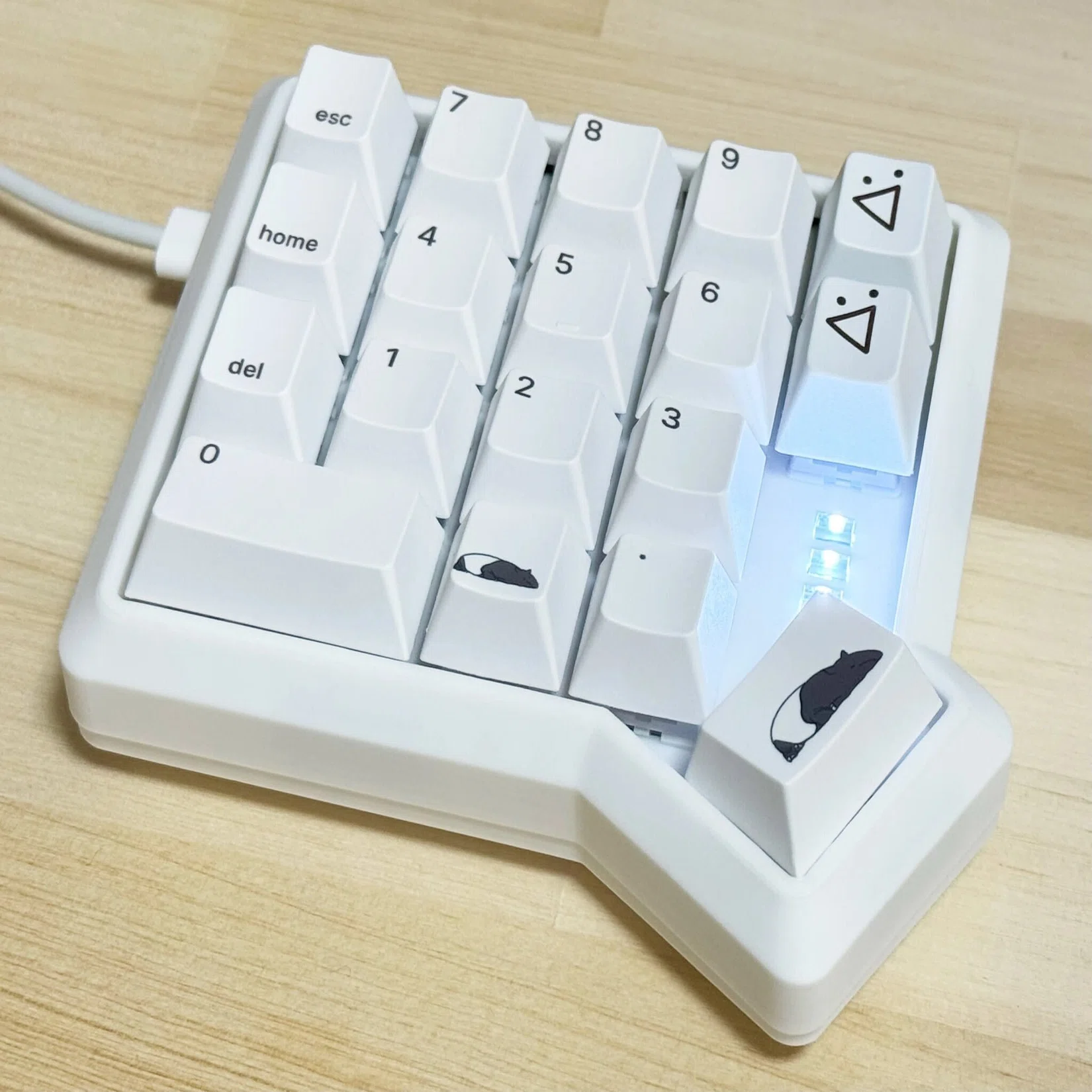自作キーボード：意外と知られていない？名前の由来をまとめてみた｜蓮 