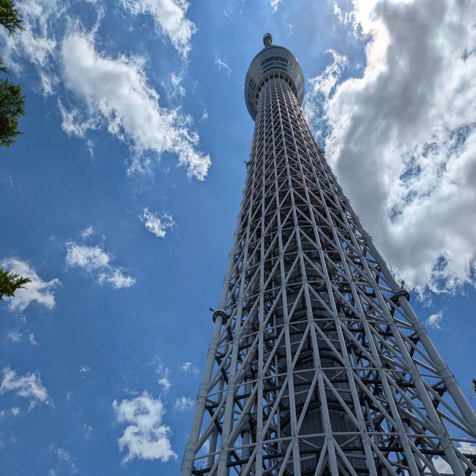 テック】Google Pixel 8aで最高の写真を撮る｜EmuLog＠在宅ワーク 