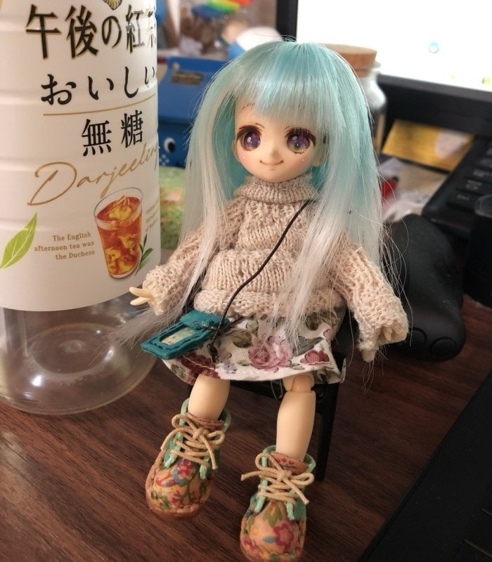 ちっちゃいドールのカスタム備忘録｜すきやき定食