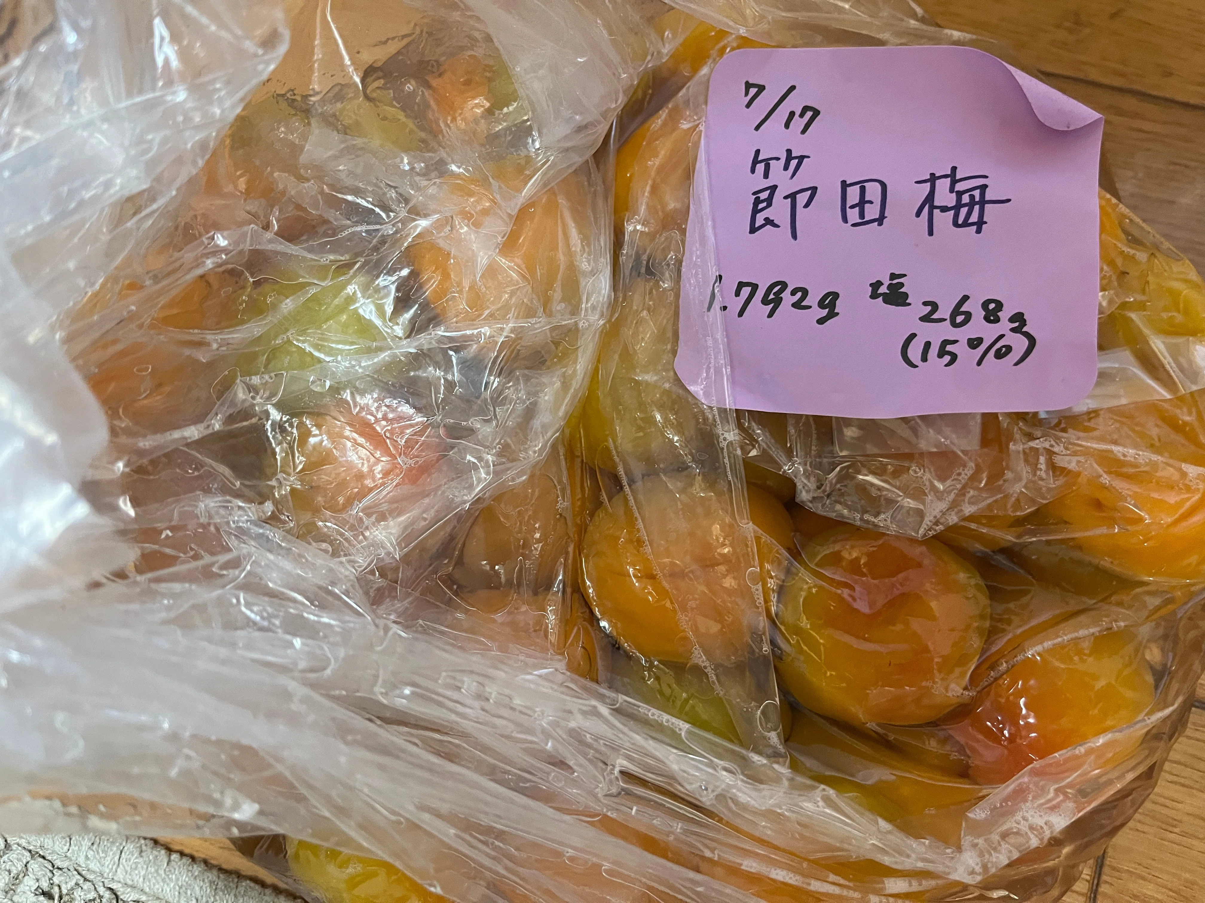 東北各地に分布する大きな杏梅の系譜～山形にもやはり巨大梅、庄内の