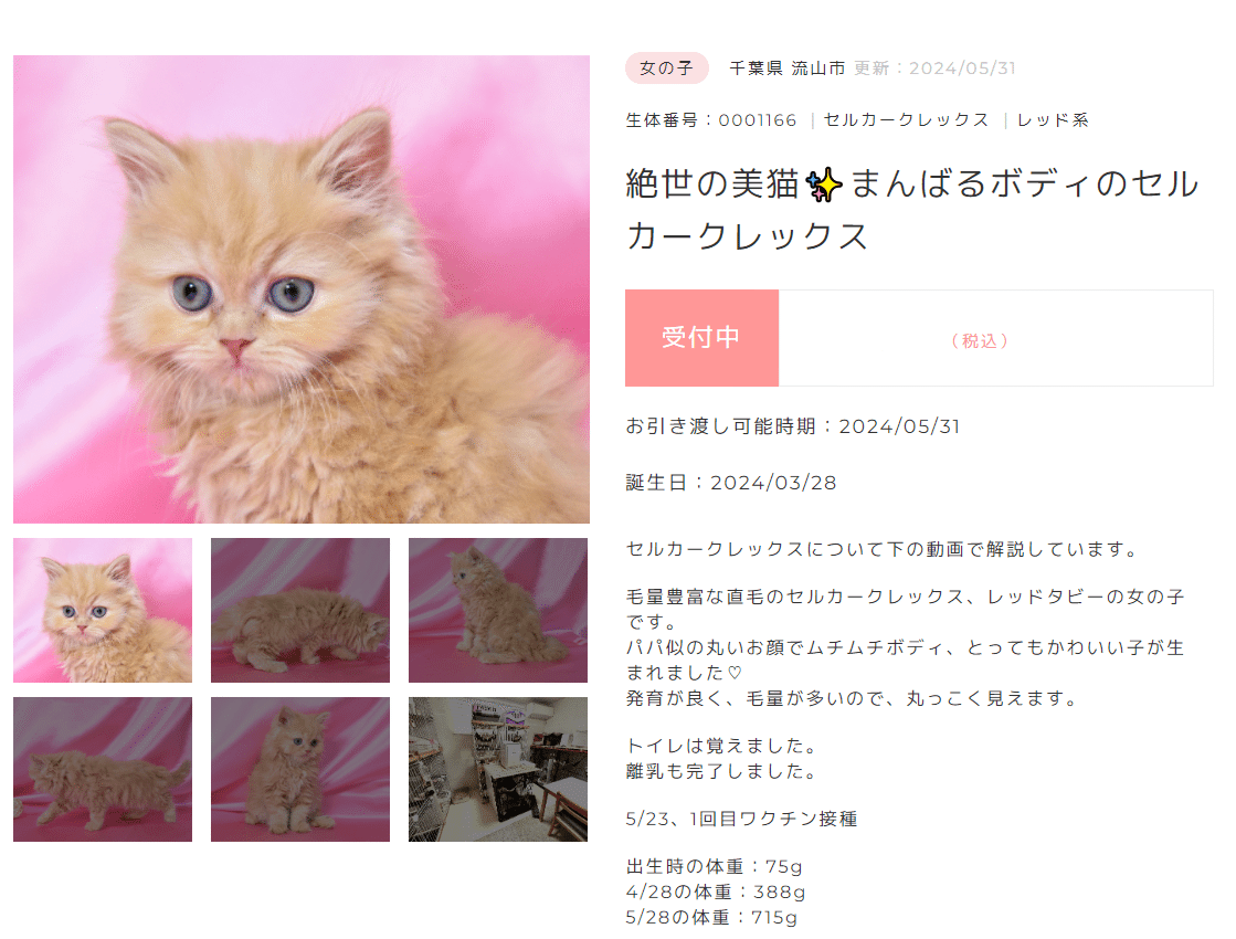 Amazon.co.jp: スフィンクス猫の置物 - ミニチュア無毛猫モデル スフィンクス像 - 3.74*3.54*1.57インチのスフィンクス の毛 のない猫の像、家のデスクトップの装飾用 : ホーム＆キッチン スフィンクス様確認用です。, image size:1119x850