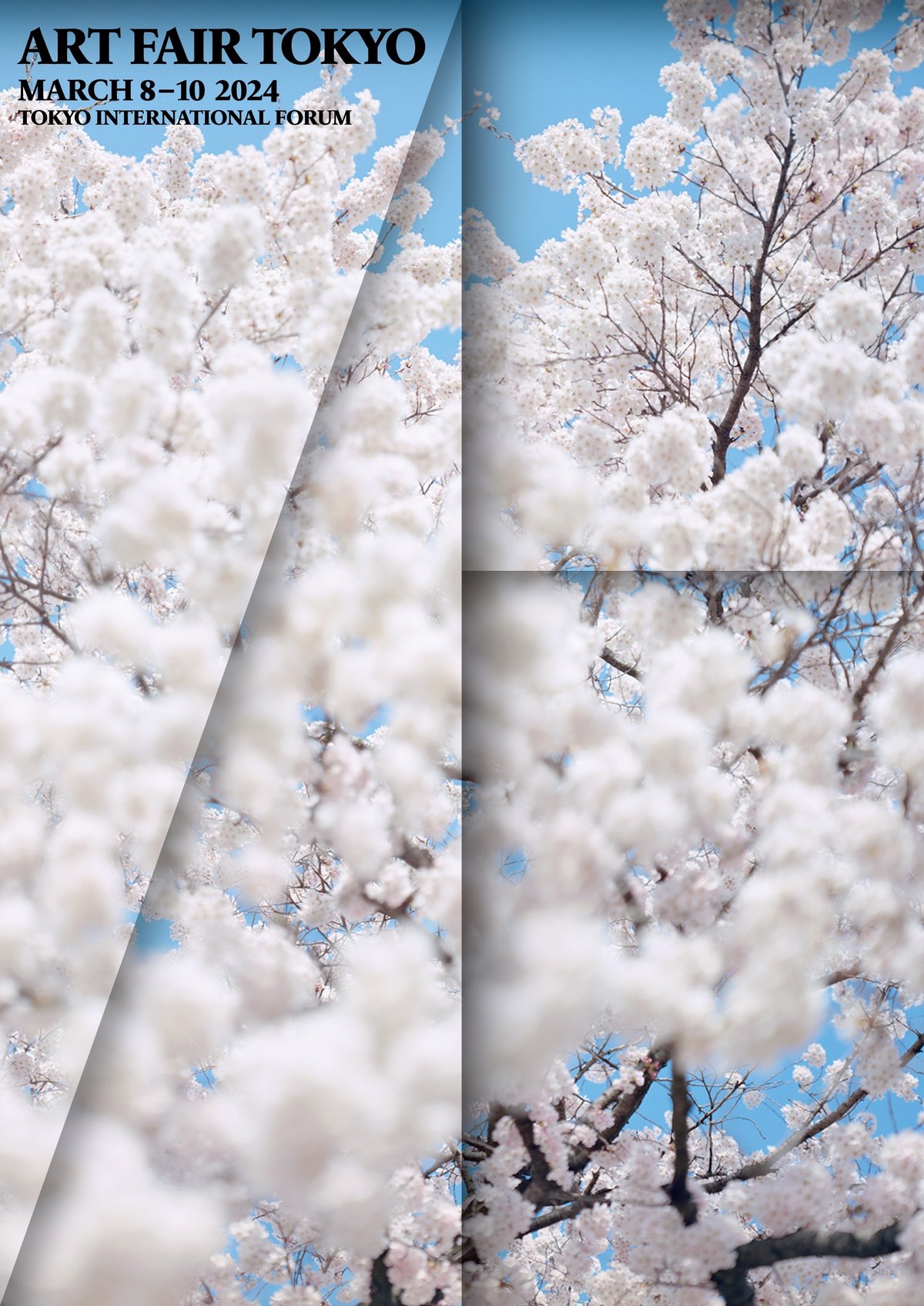 アートフェア東京2024出展記録｜MIZOE ART GALLERY 