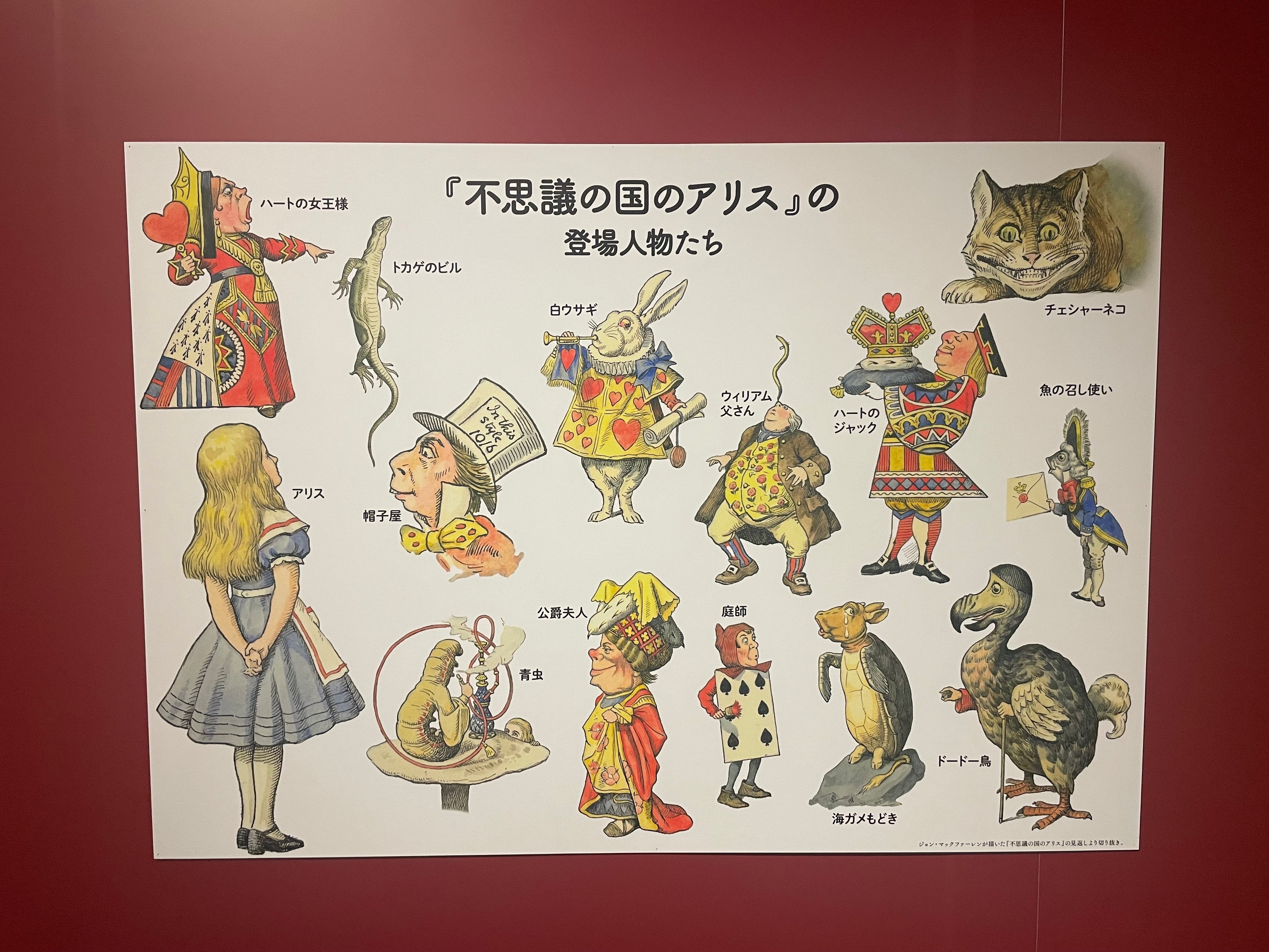 不思議の国に誘われて｜八木玲穏