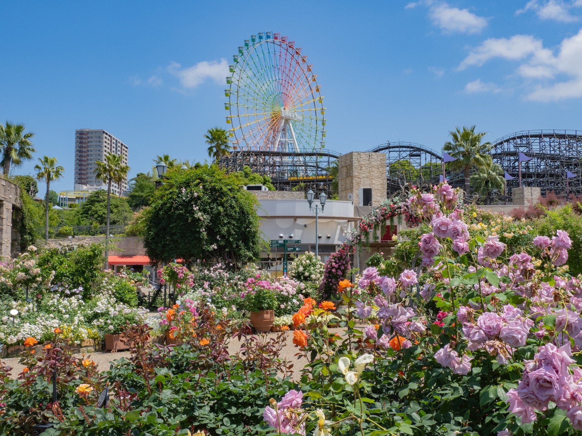 ひらかたパーク ローズガーデン｜KATSUMI