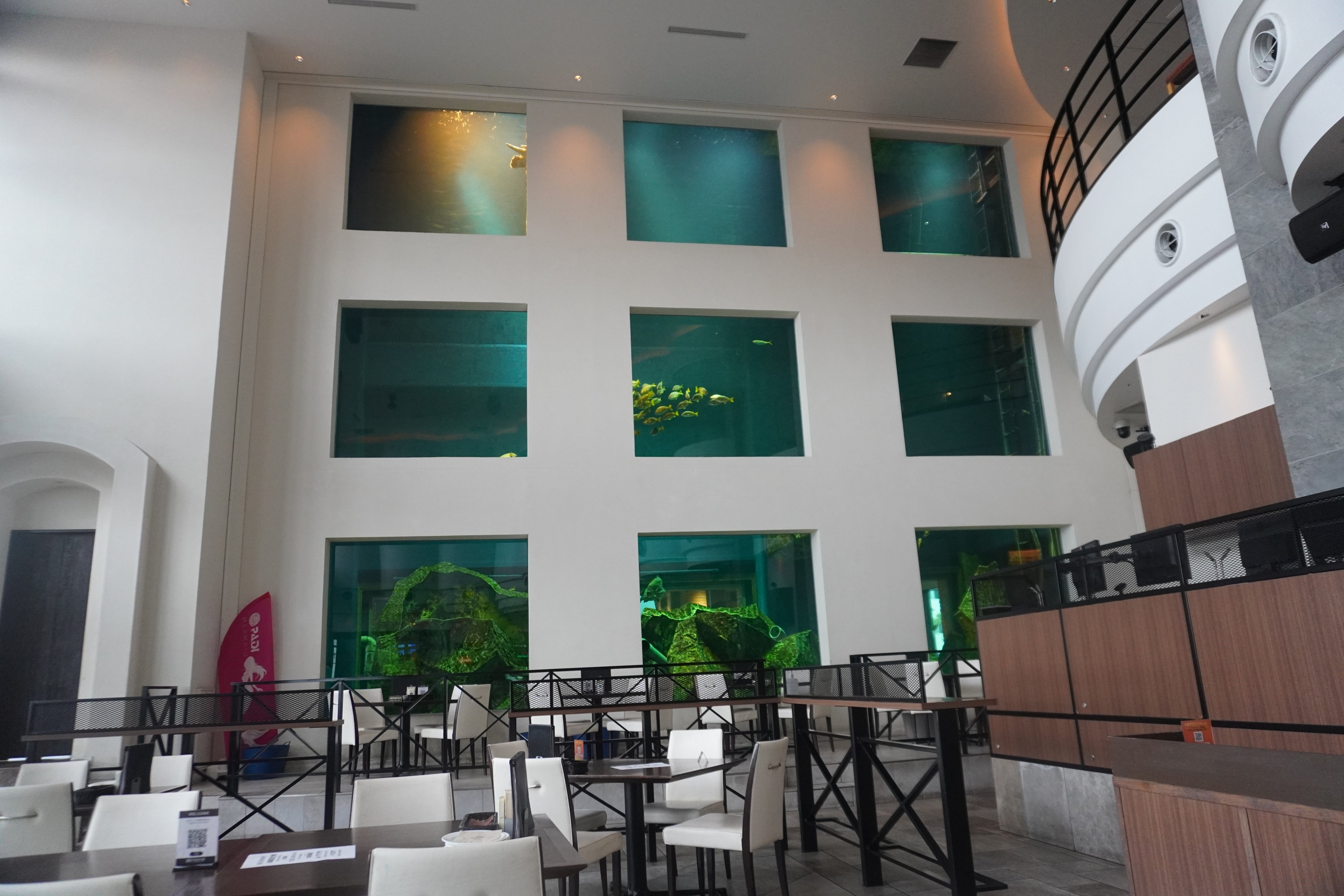 ZASO:213】千葉県 #ケーズハーバー｜ZASOちゃんねる