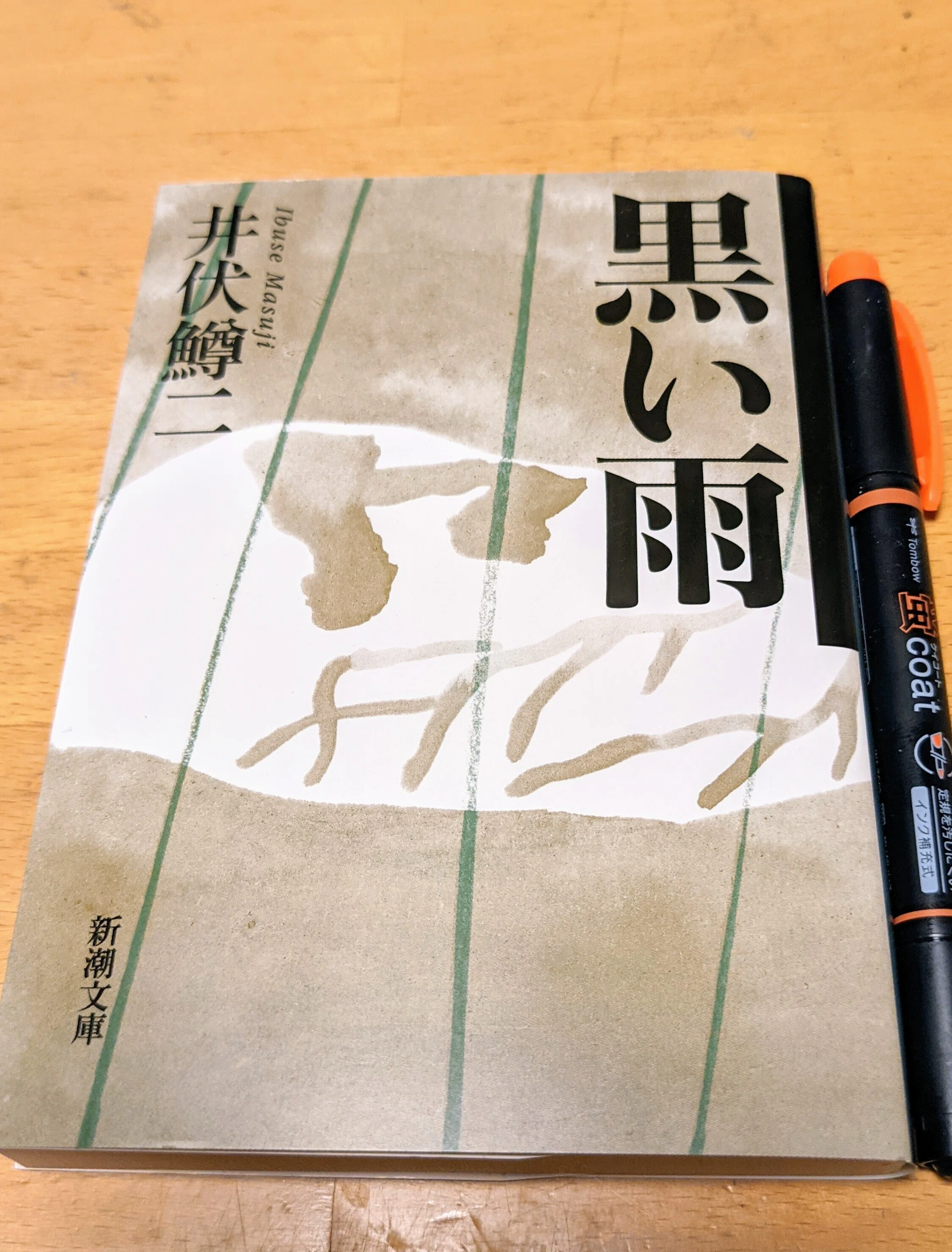 読書日記その561 「黒い雨」｜hohoemi