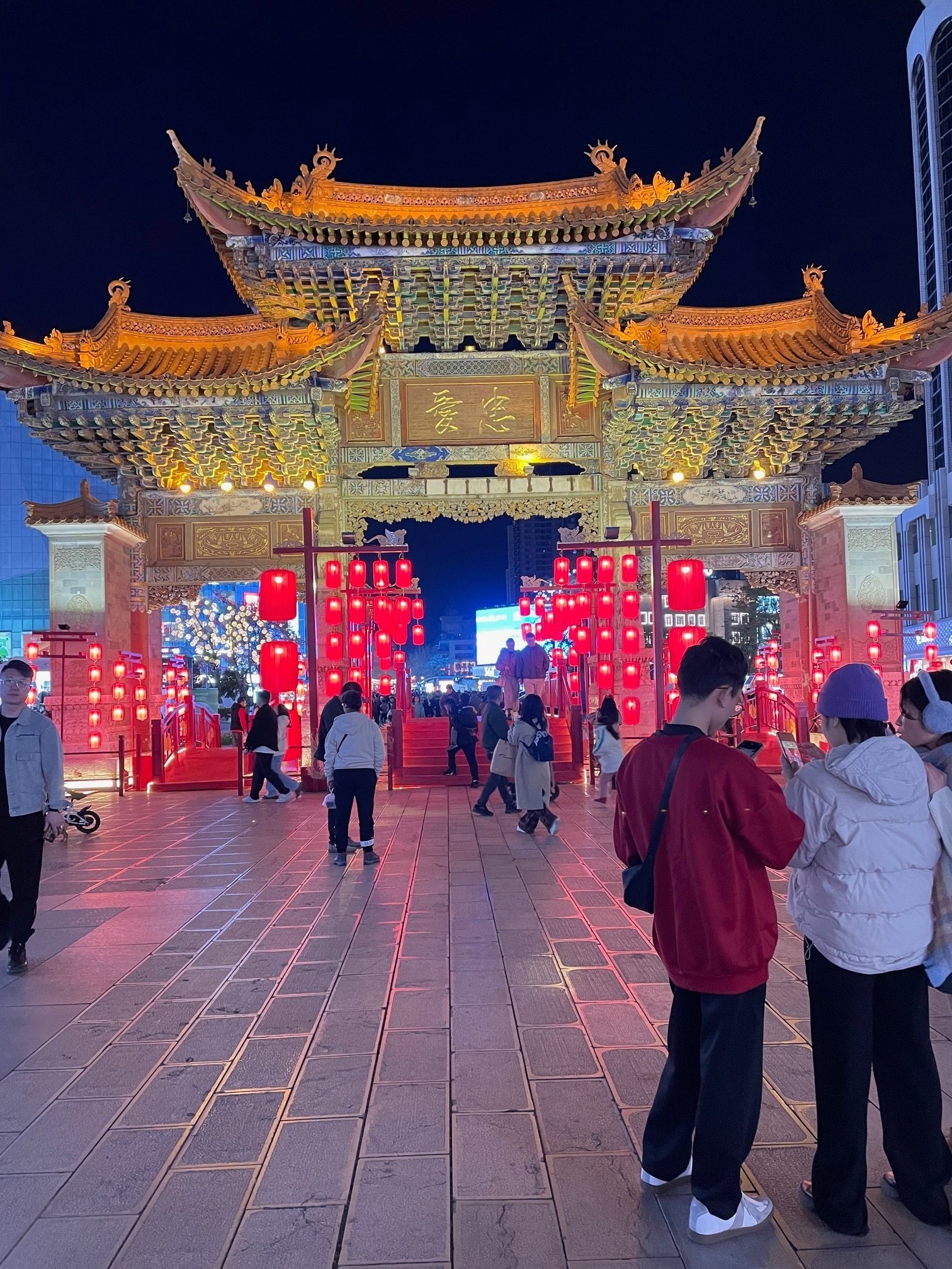 プルトニウスジャコウ（ペア・中国雲南省） グローバルサウスメディア・シンクタンクフォーラム参加者、中国雲南省