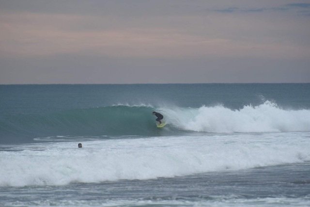 ANDREW KIDMAN LITMUS シルクスクリーン　サーフアート ANDREW KIDMAN LITMUS シルクスクリーン サーフアート