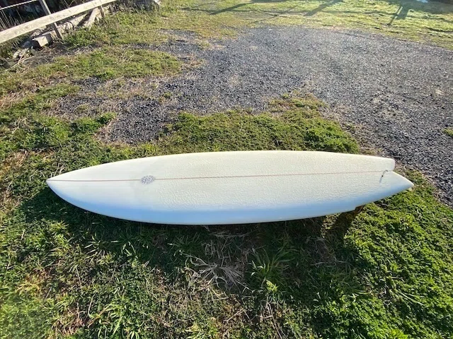 NPJ Stinger Fish Duo｜RIDE SURF+SPORT