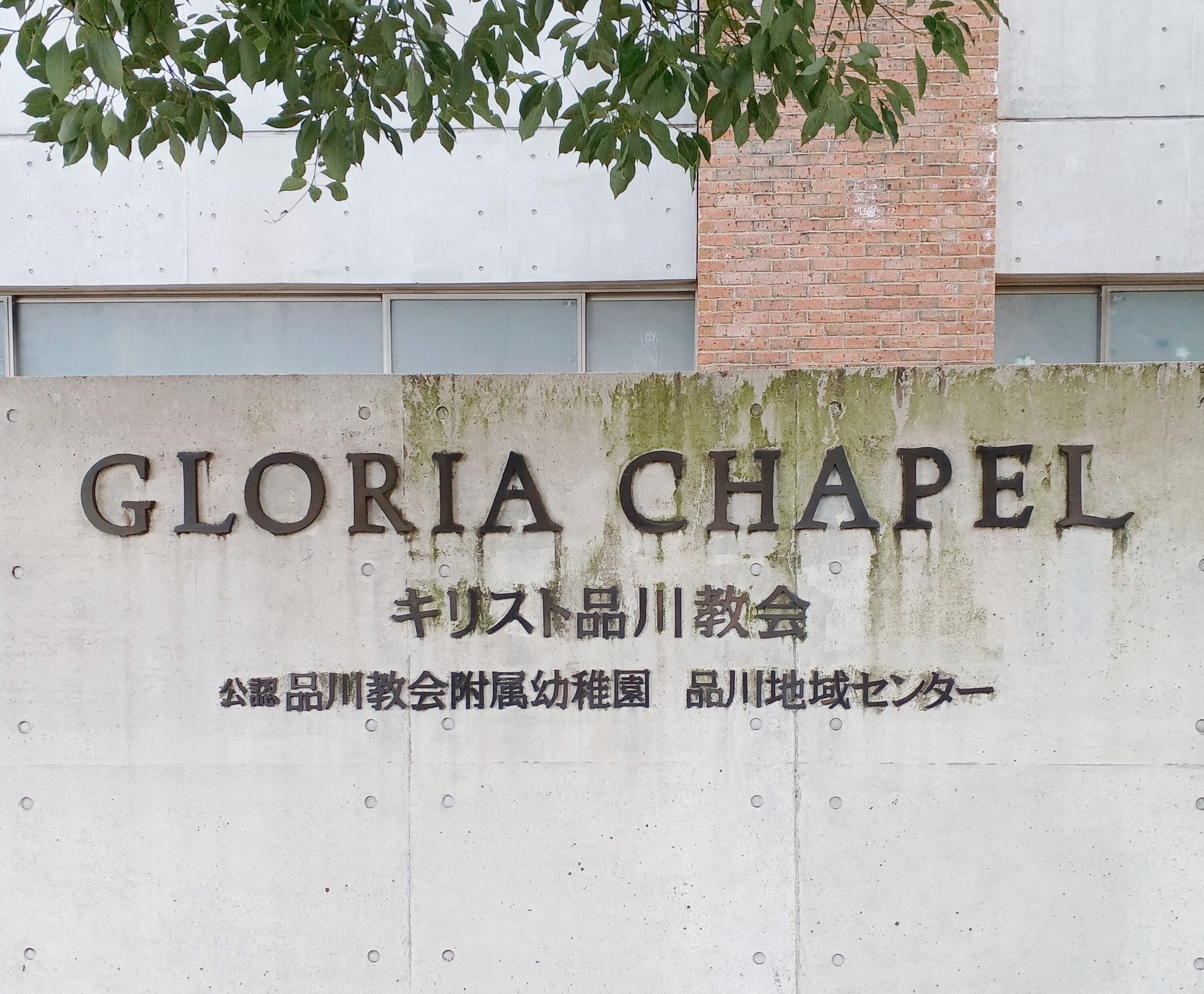 マオ from SID】 Premium feel the voice Live(2024.02.09 & 03.08