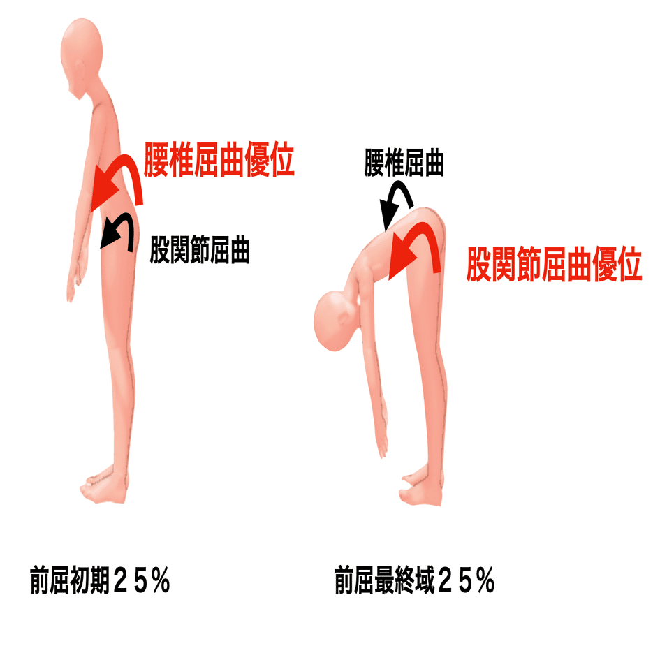 立位前屈動作のバイオメカニクスと動作分析｜理学療法士による臨床の