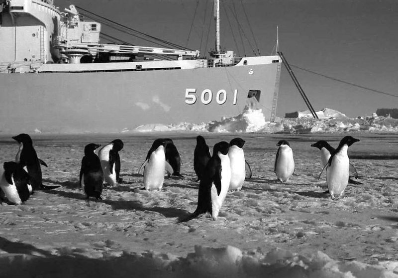 南極 THE ANTARCTIC 1958 特別限定版 南極資料保存会 文教通信