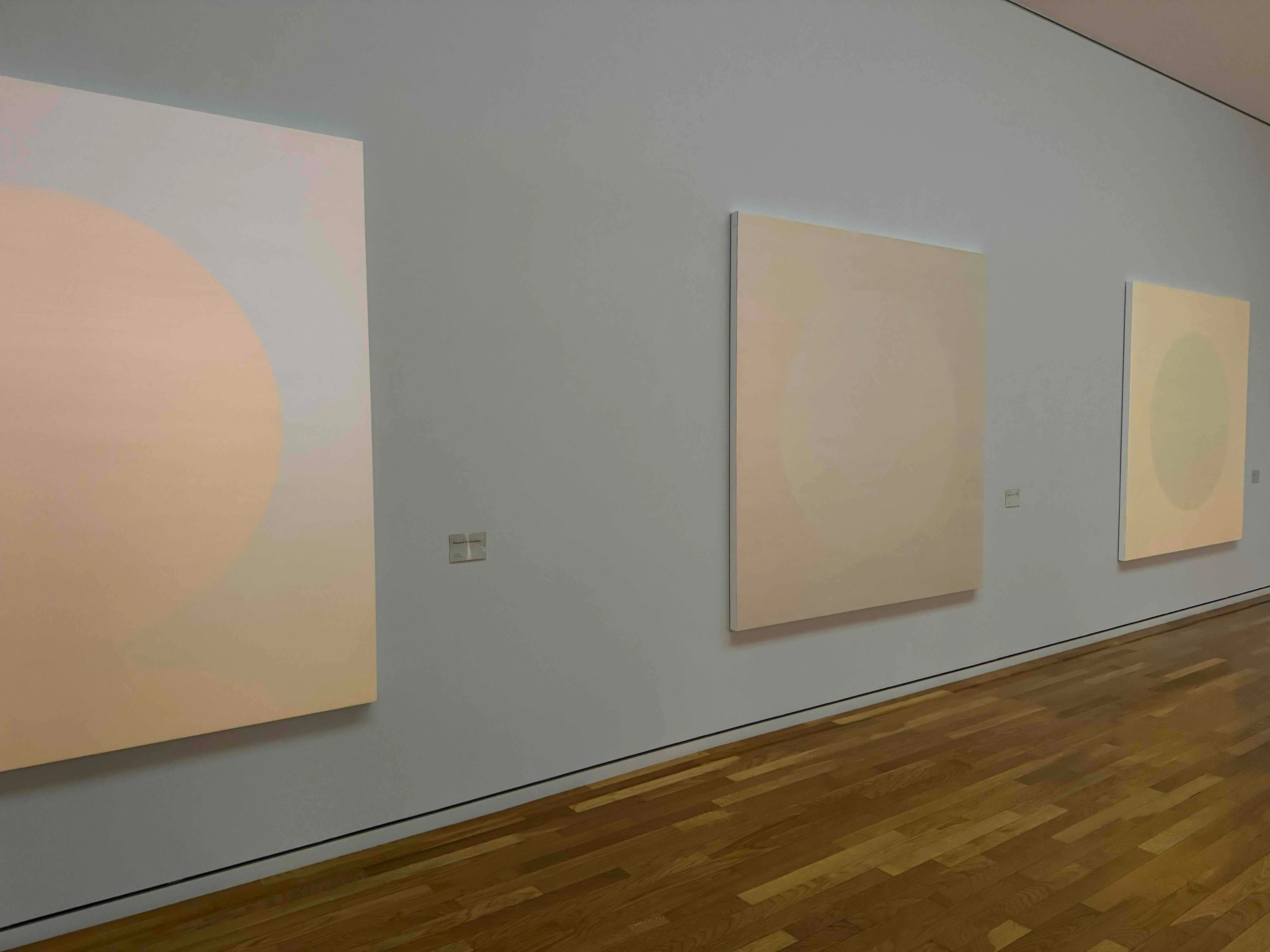 美術展2024#33】フランシス真悟 色と空間を冒険する＠茅ヶ崎市美術館｜mata