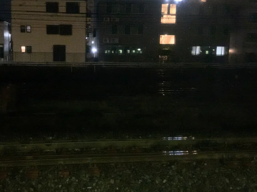 I participated in the 'Midnight Omiya Yard with the 185 Series
