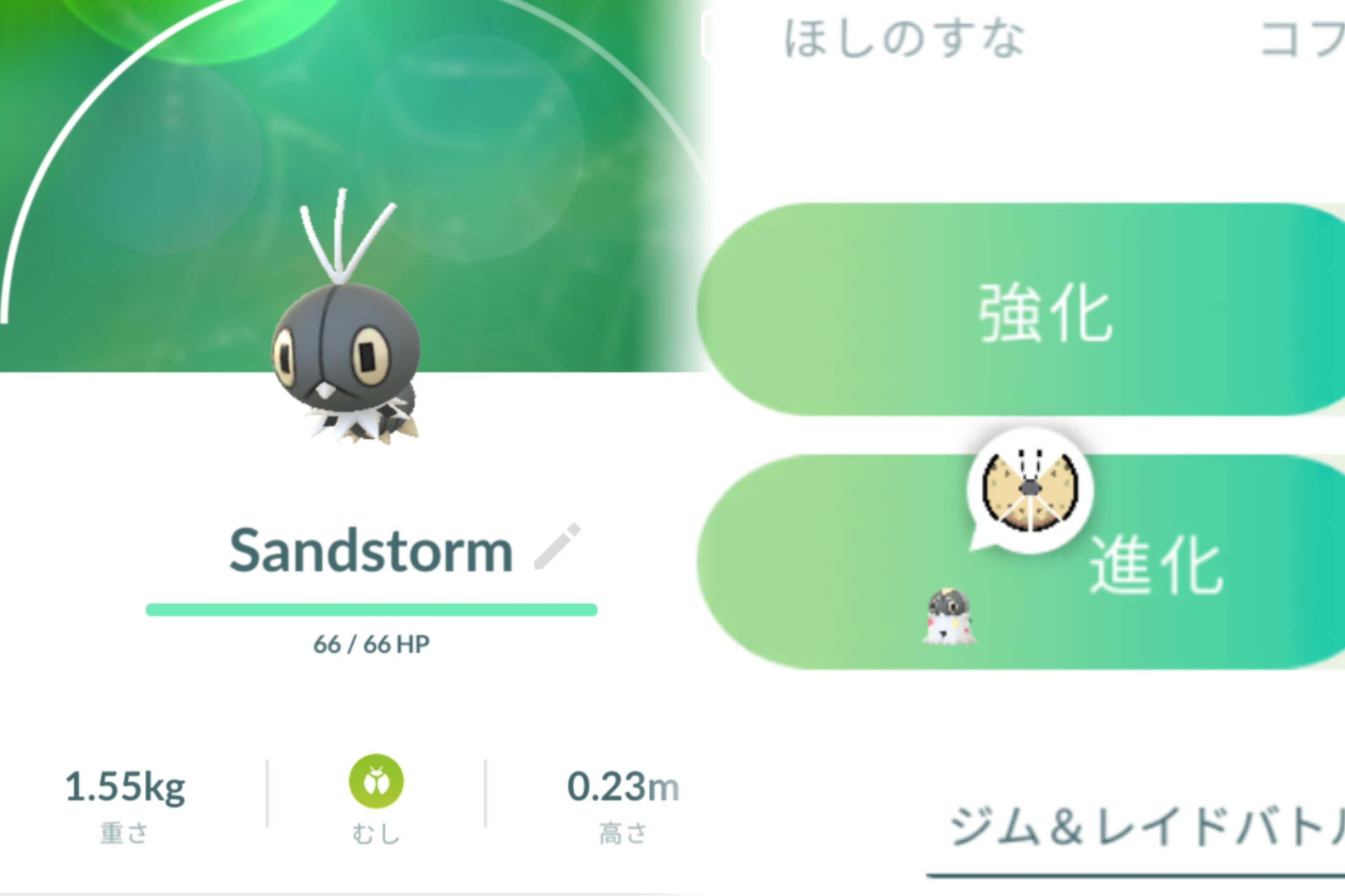 パピヨン確認画像 パピヨン - Search / X