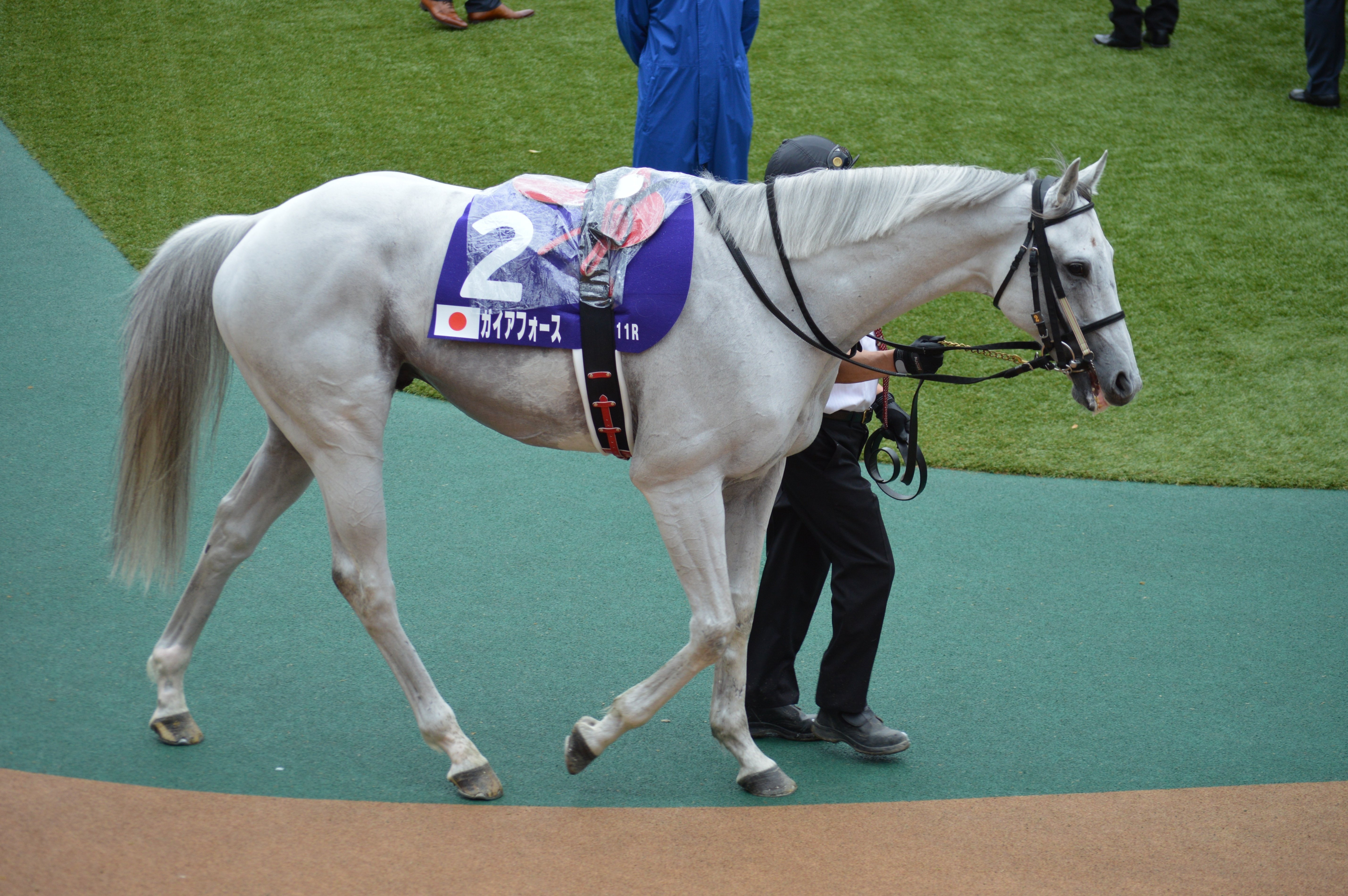 2024.06.02 安田記念（ガイアフォース）回顧｜めがねnote