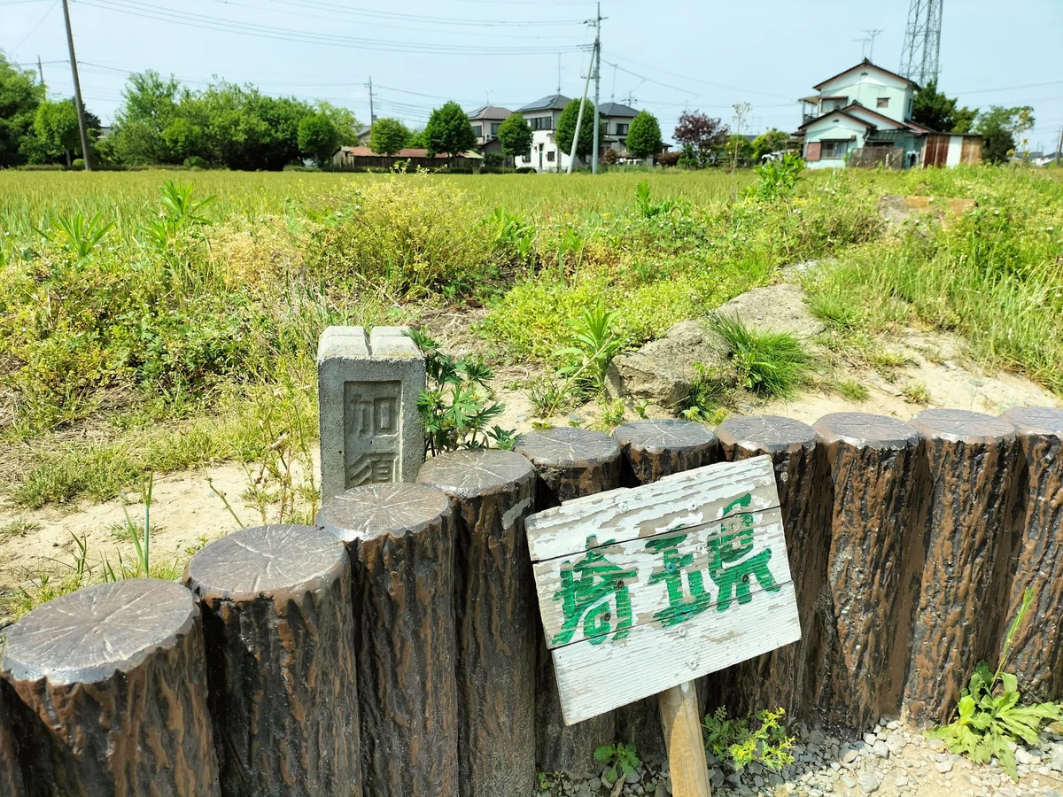 埼玉県と加須市の表記と畑