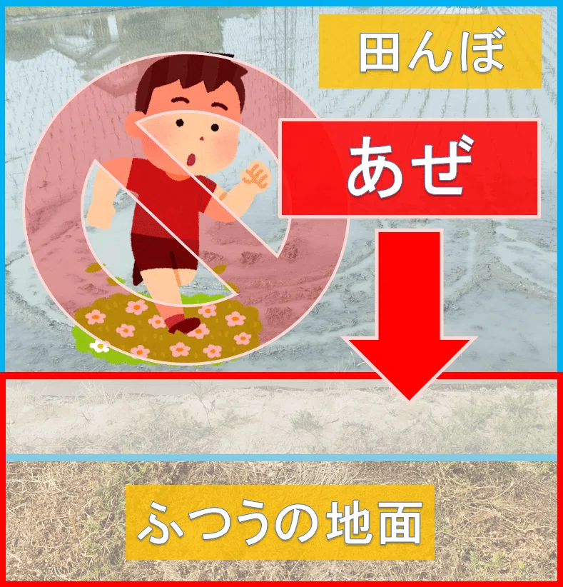 田んぼの写真と子どものイラスト。あぜの位置を説明した写真