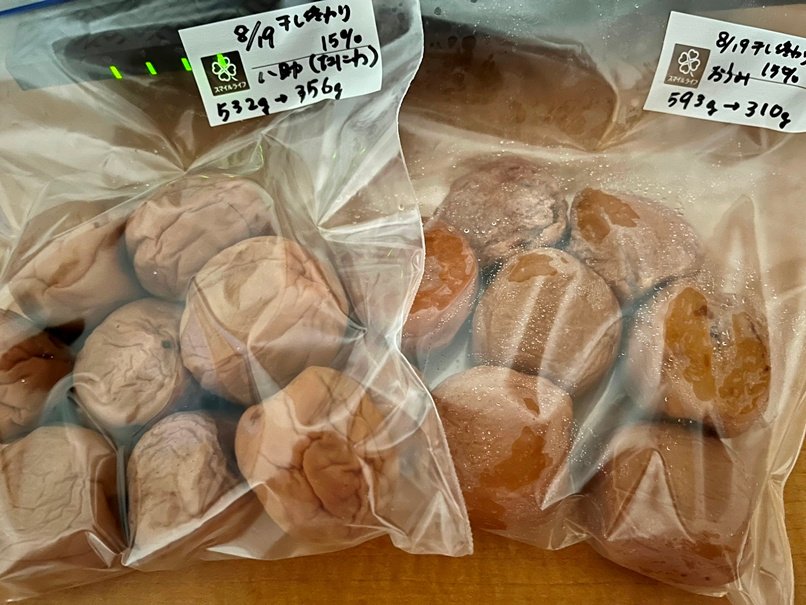 見分けが難しかった青森・秋田の巨大梅、なにわ（八助）・おうみの種の