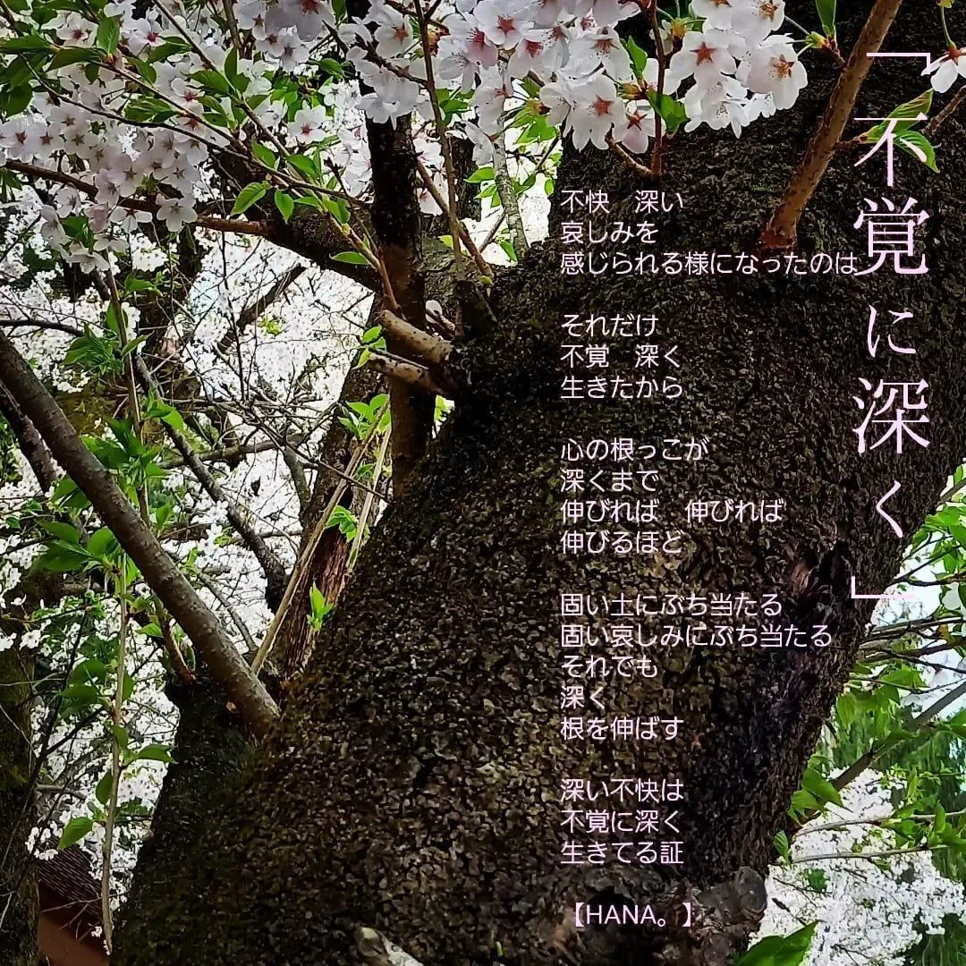 〖写真詩〗「不覚に深く」｜【花咲 愛実(旧:HANA。)】文筆家。