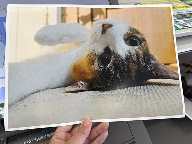 描いた絵　提供は光沢紙にプリントしたもの コンビニプリントで普通紙と光沢紙の違いを比較してみた｜あいこうら