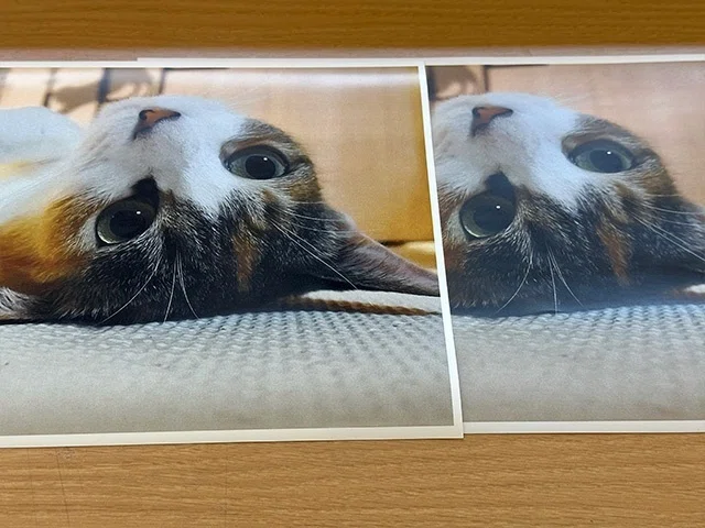 描いた絵　提供は光沢紙にプリントしたもの コンビニプリントで普通紙と光沢紙の違いを比較してみた｜あいこうら