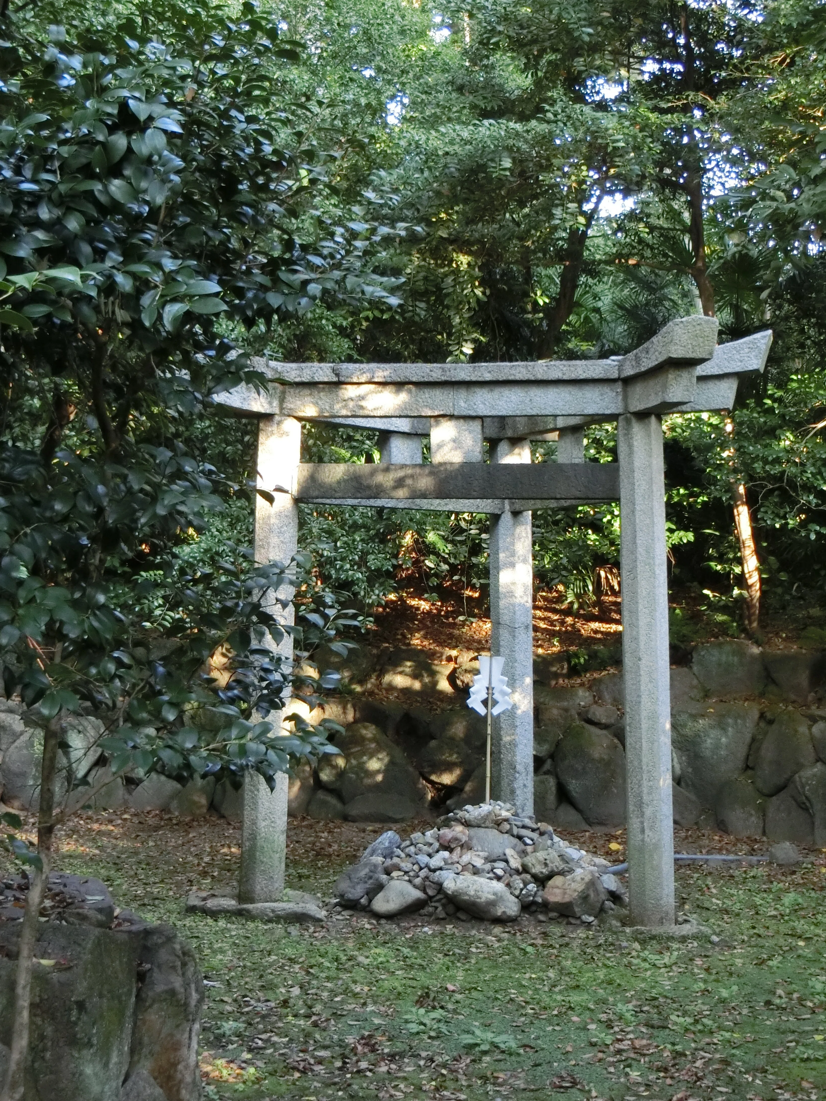 1717406578137-gWPaNGPhp7.jpg