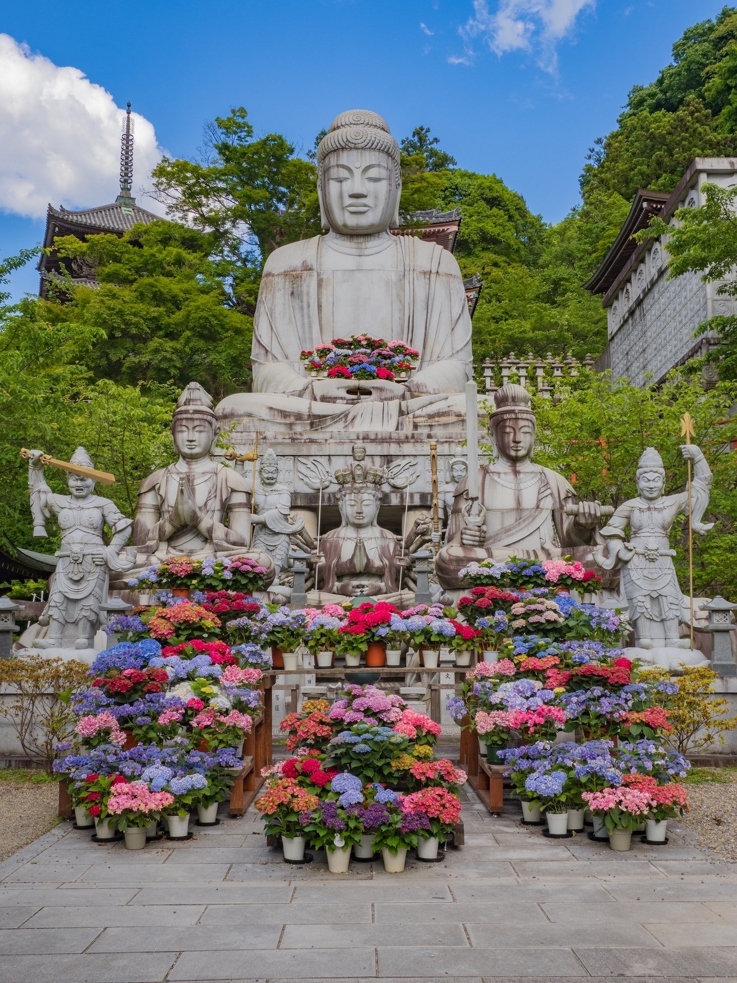 あじさゐ回廊 2024 壺阪寺 ｜KATSUMI