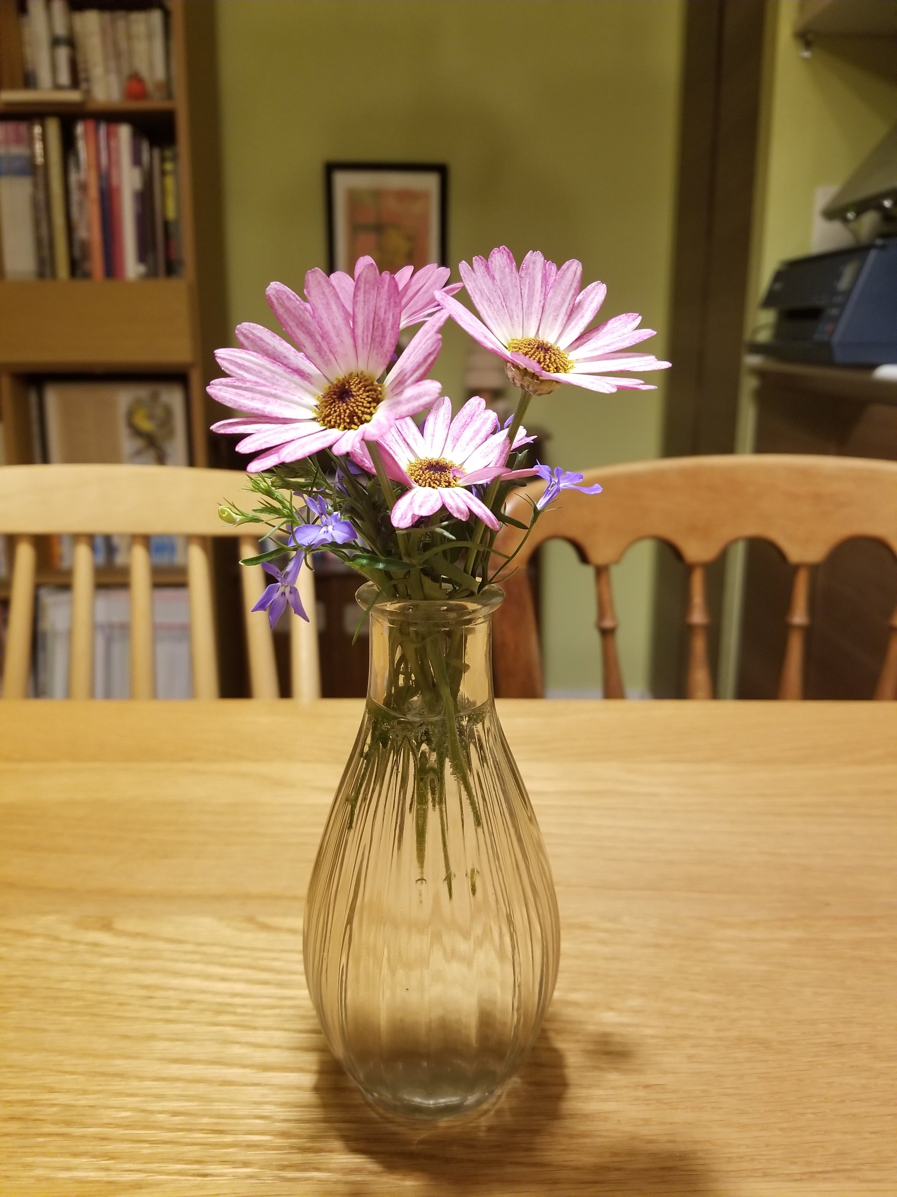 ずっと実験していた人間が買った花瓶｜あおい