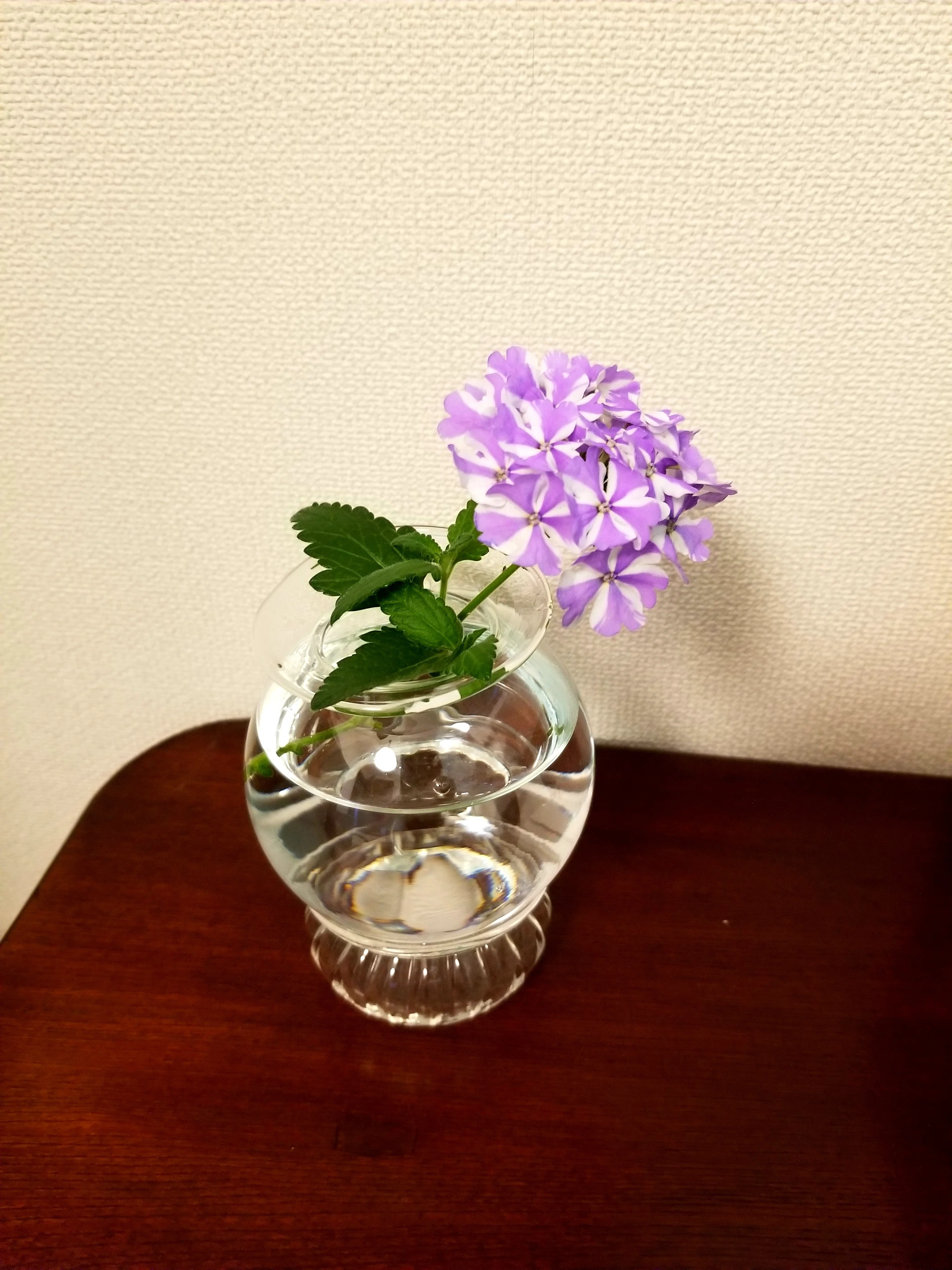ずっと実験していた人間が買った花瓶｜あおい