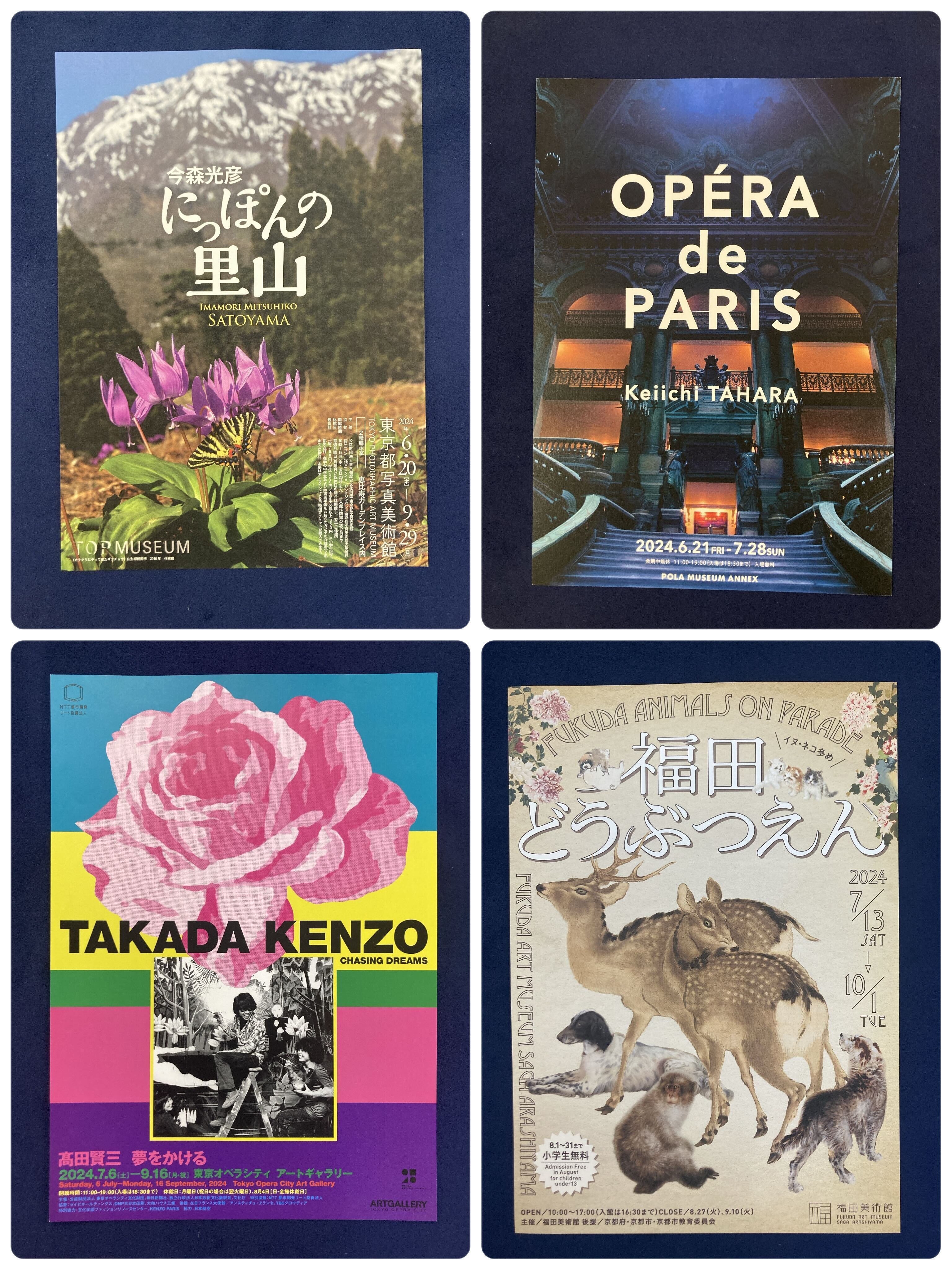 おちらしさんのチラシ（2024年6月号・美術）｜おちらしさんWEB