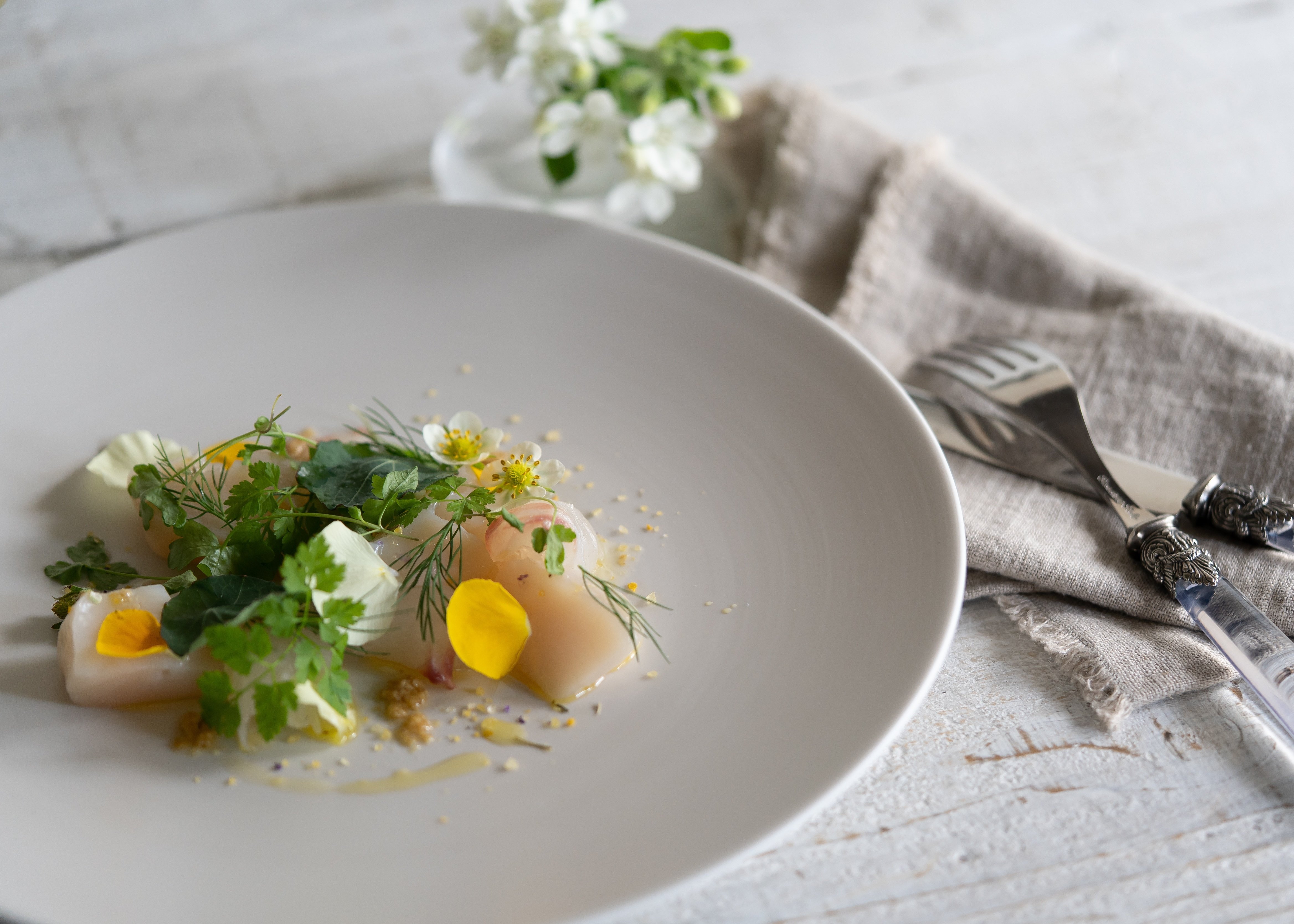 400年以上続いてきた有田焼の伝統文化を守りたい」｜うつわ専門Web