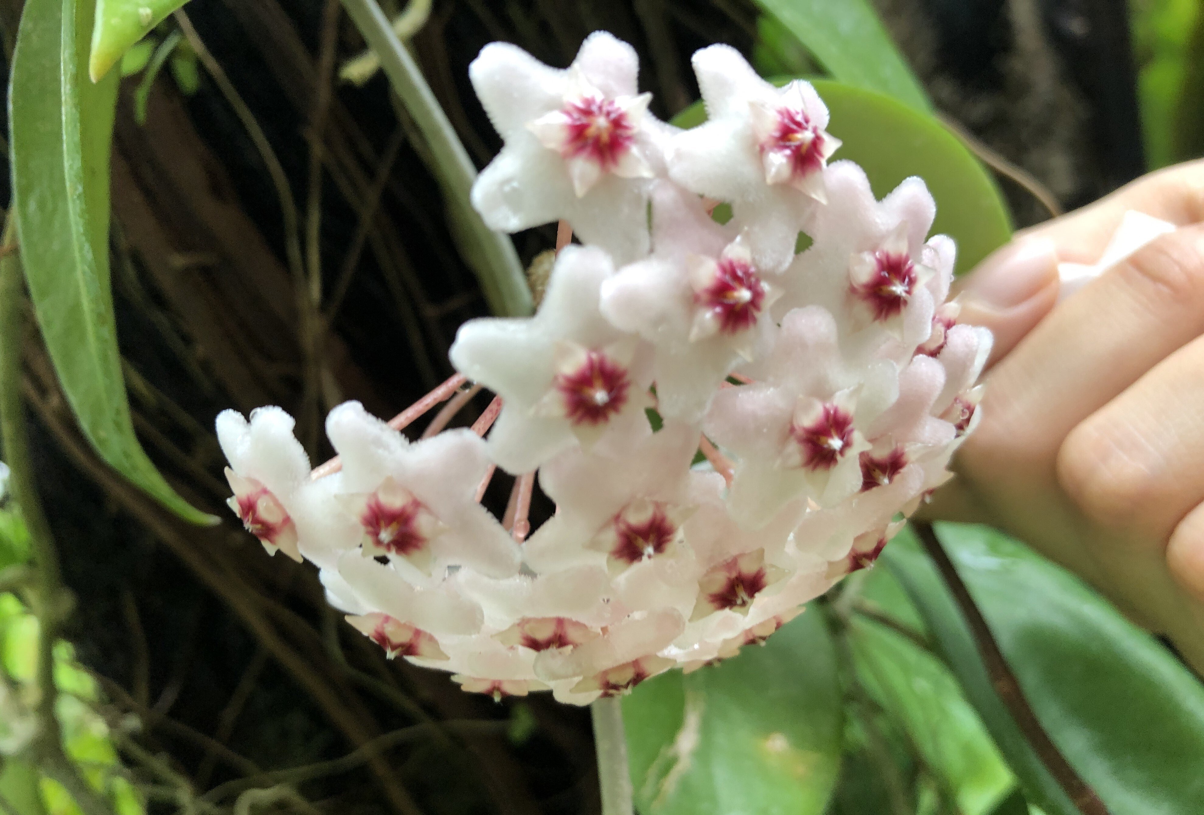 生き方が変でも普通でも、心が大きく無理してないならいいんじゃない