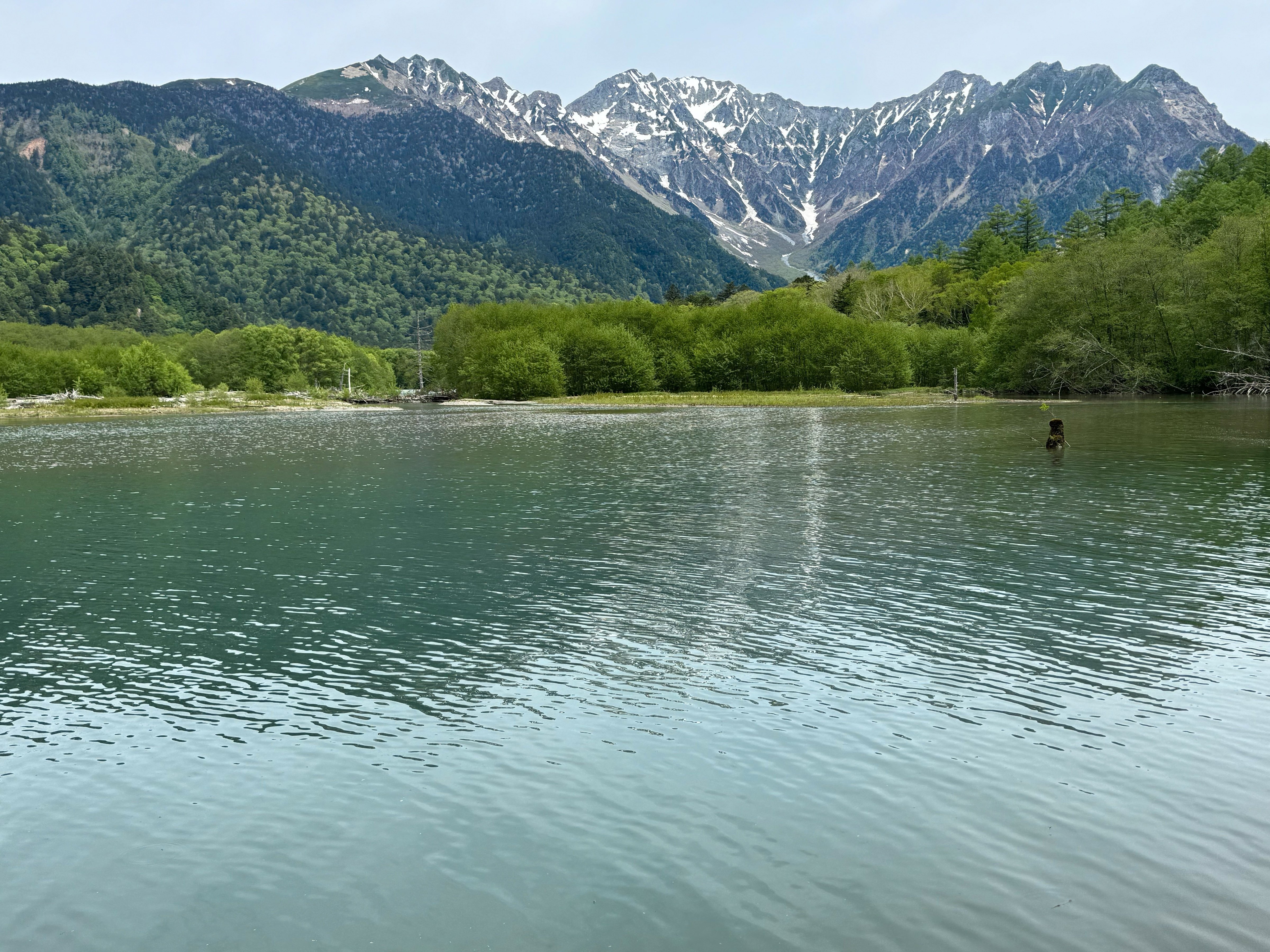 上高地大正池 大正池 (松本市) - Wikipedia