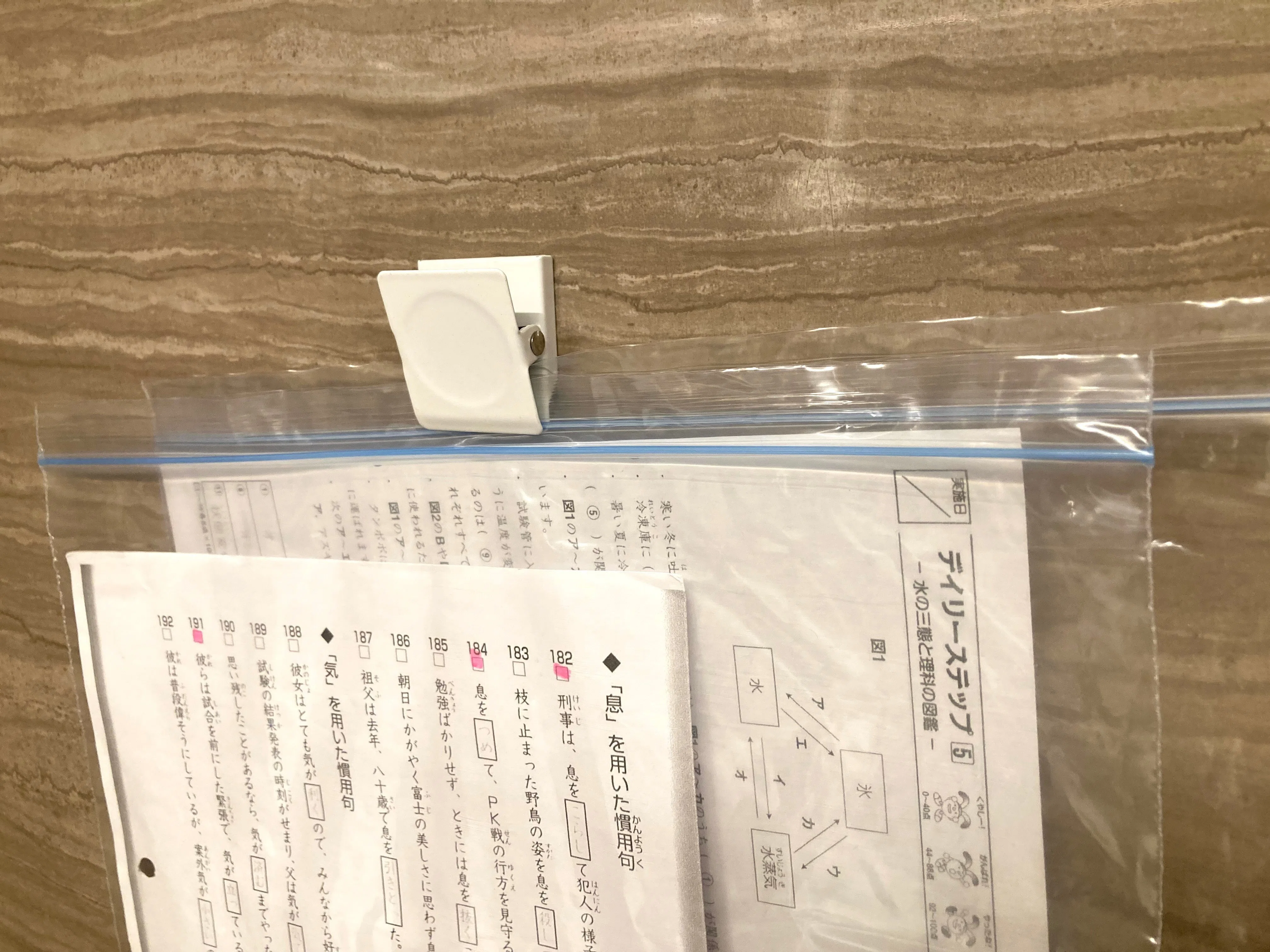 SAPIX理科6年ポイントチェック5、6年ステップ コアプラテスト3点まとめ SAPIX 理科確認テスト コアプラス 総確認 第2/3/5/6回 テスト計4回分