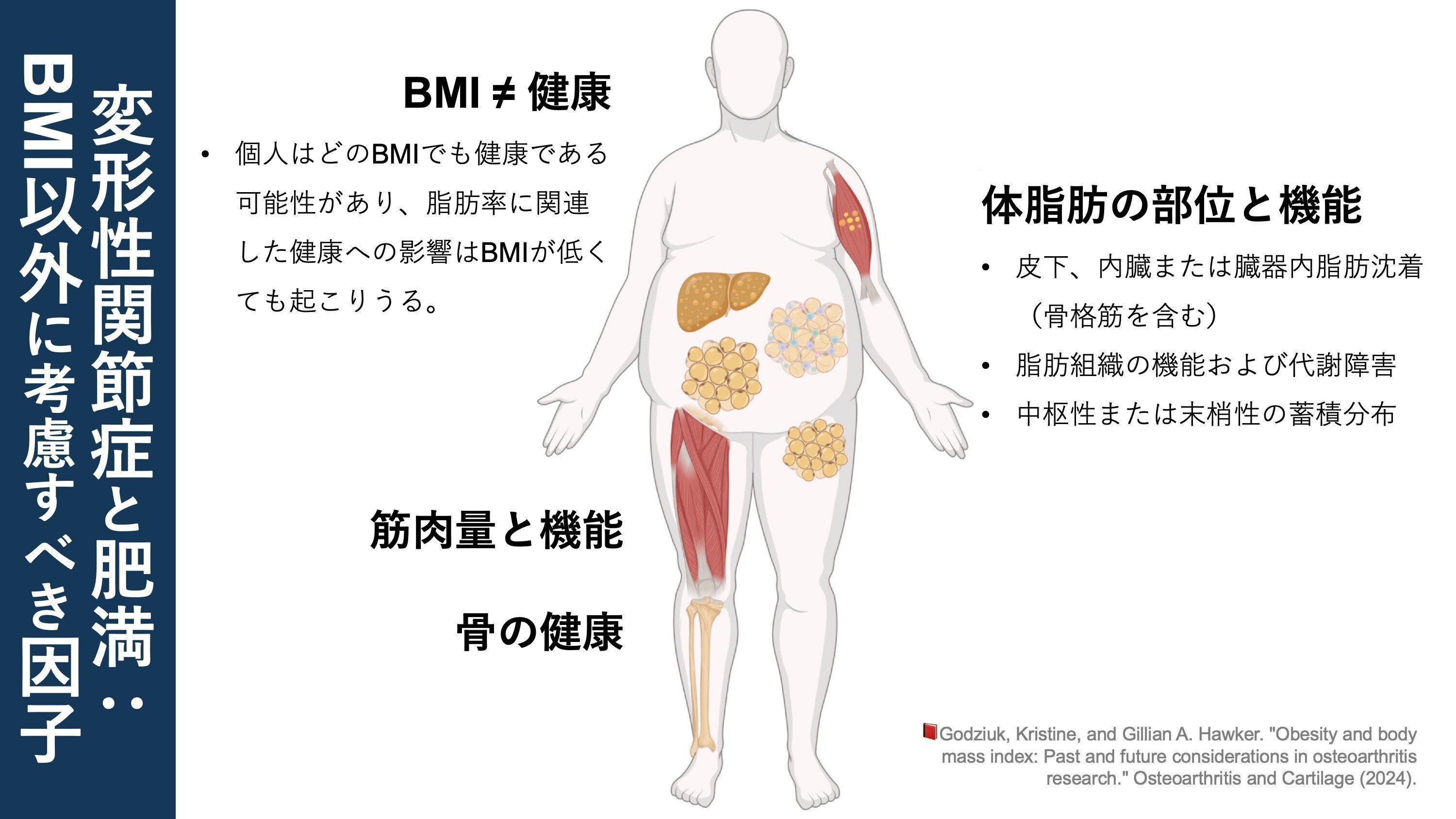 肥満と生活・健康・仕事の格差 肥満と生活・健康・仕事の格差 | 古郡鞆子, 松浦 司 |本 | 通販