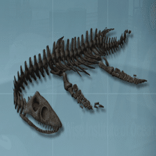 レポート】プレシオサウルス――ネッシーとしての面か、クビナガリュウ