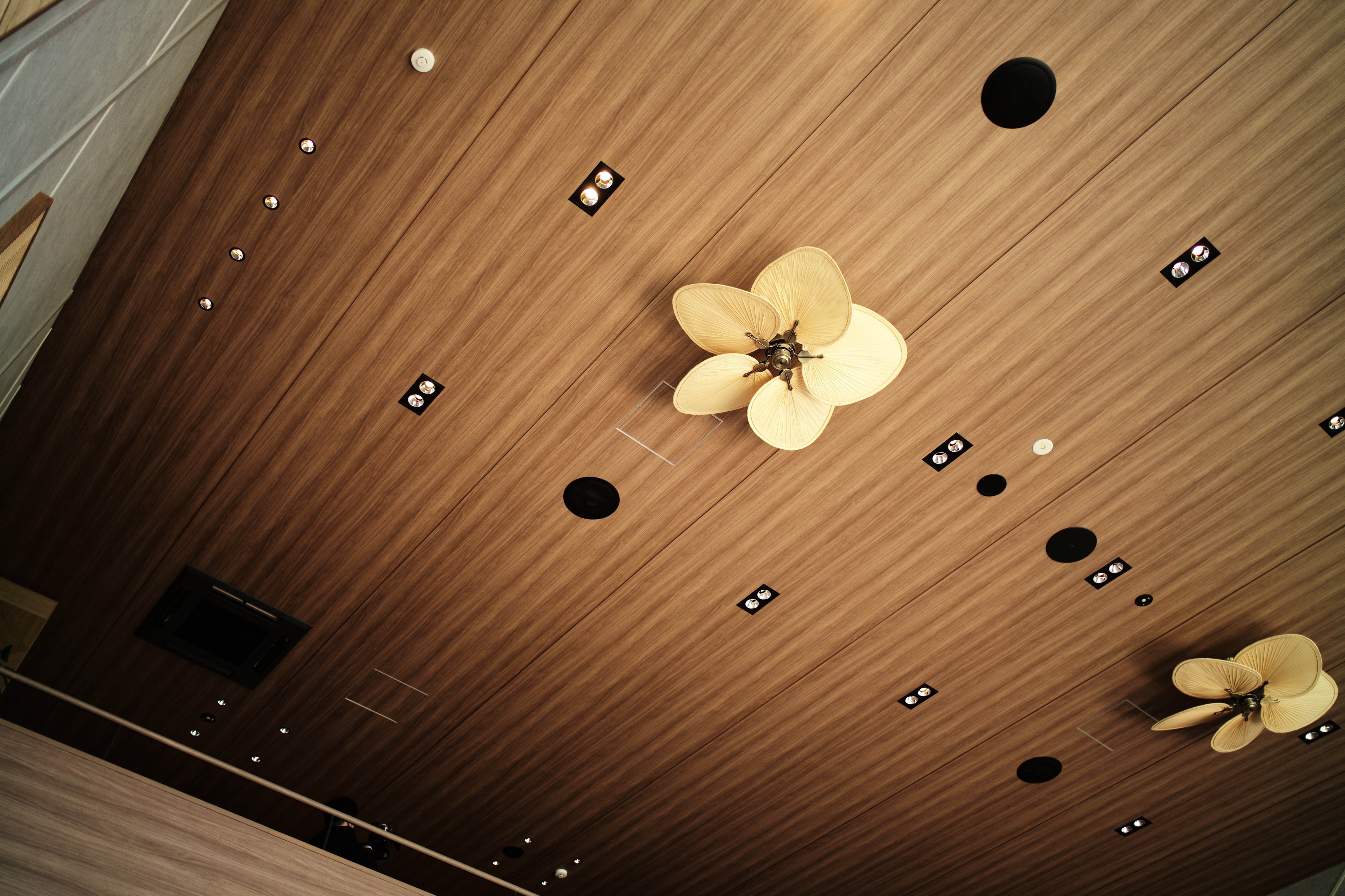 NOKTON Vintage Line28mm F1.5 Aspherical の威力。｜nay